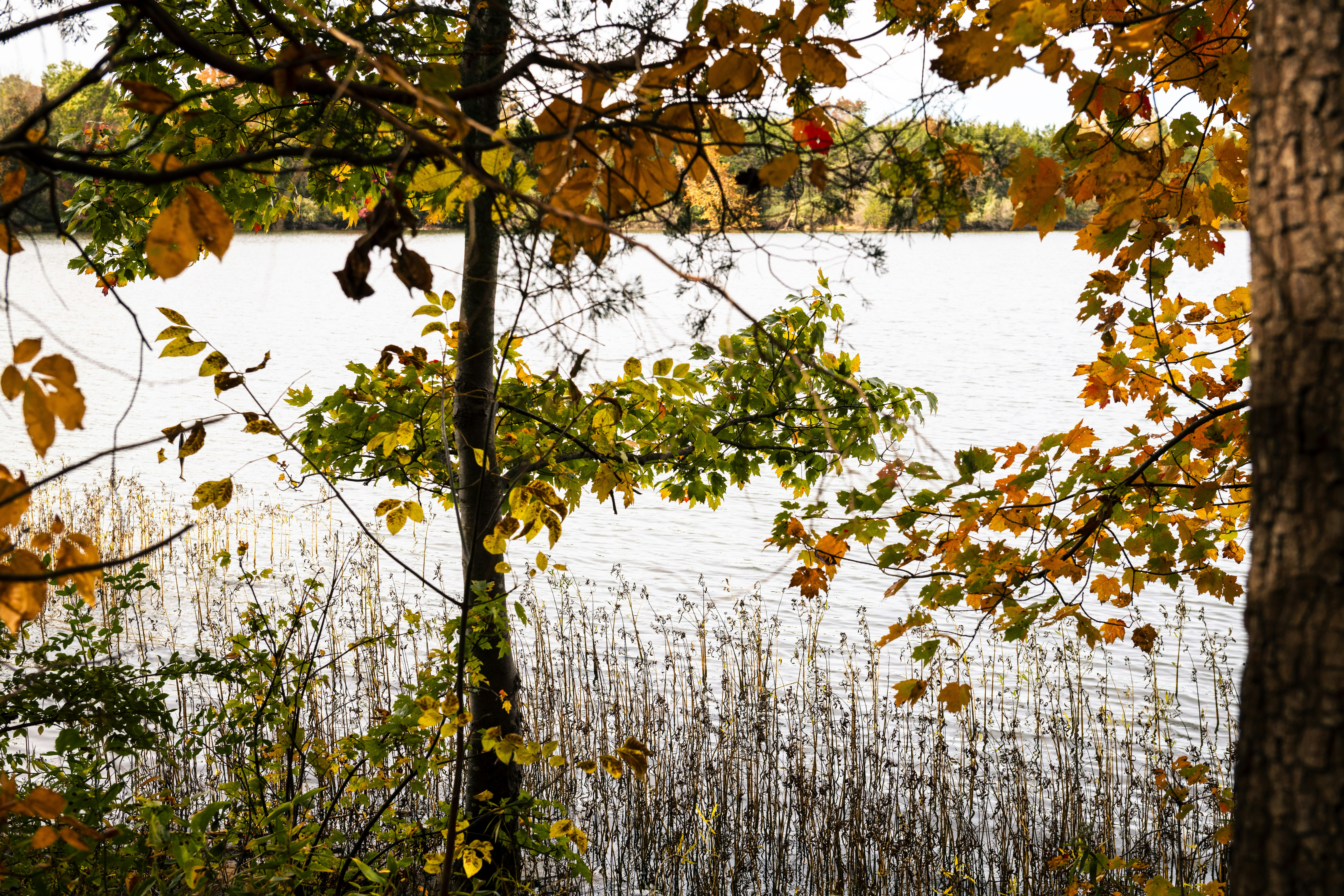 Photo by sriniunsplash