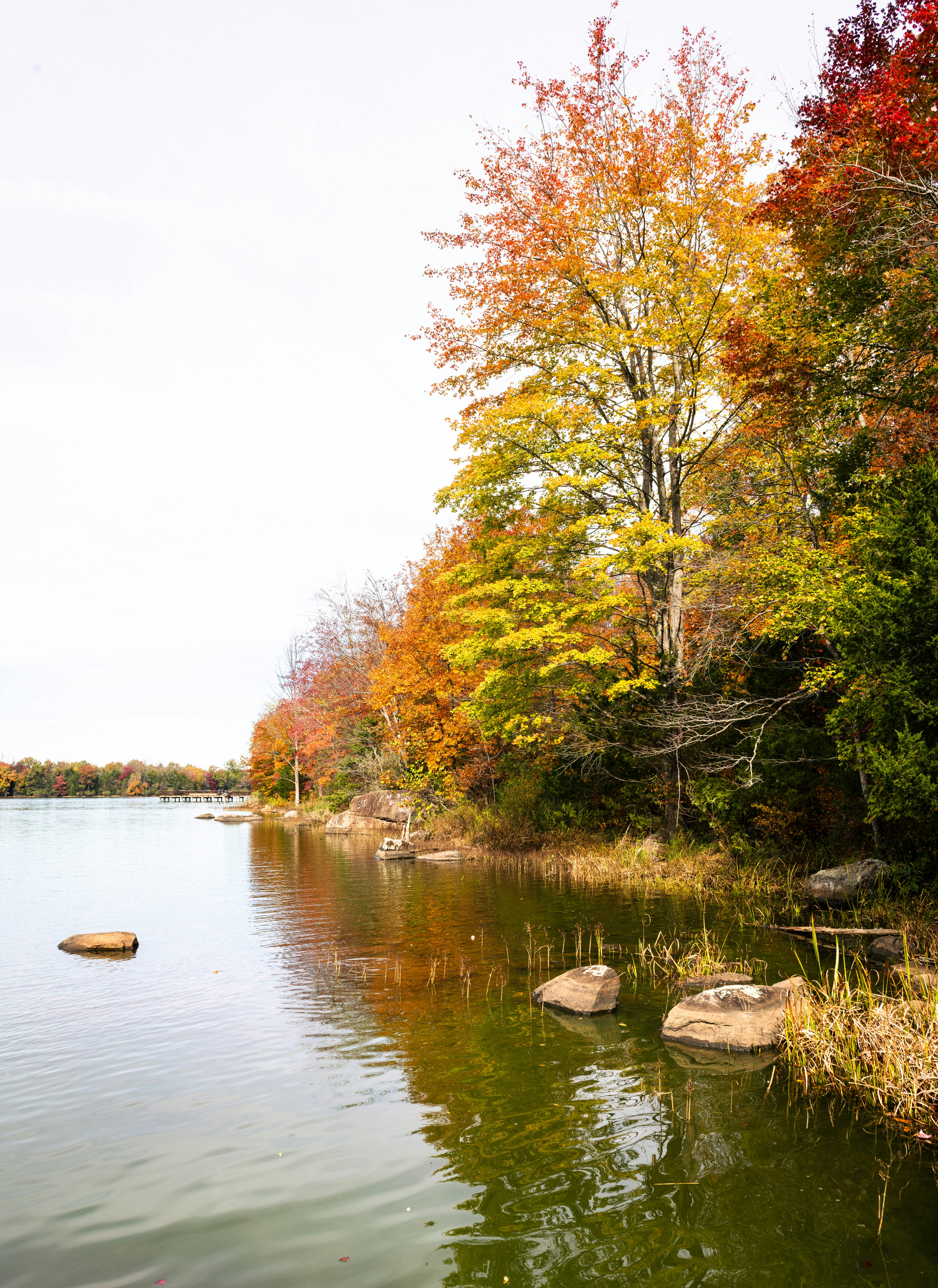 Photo by sriniunsplash