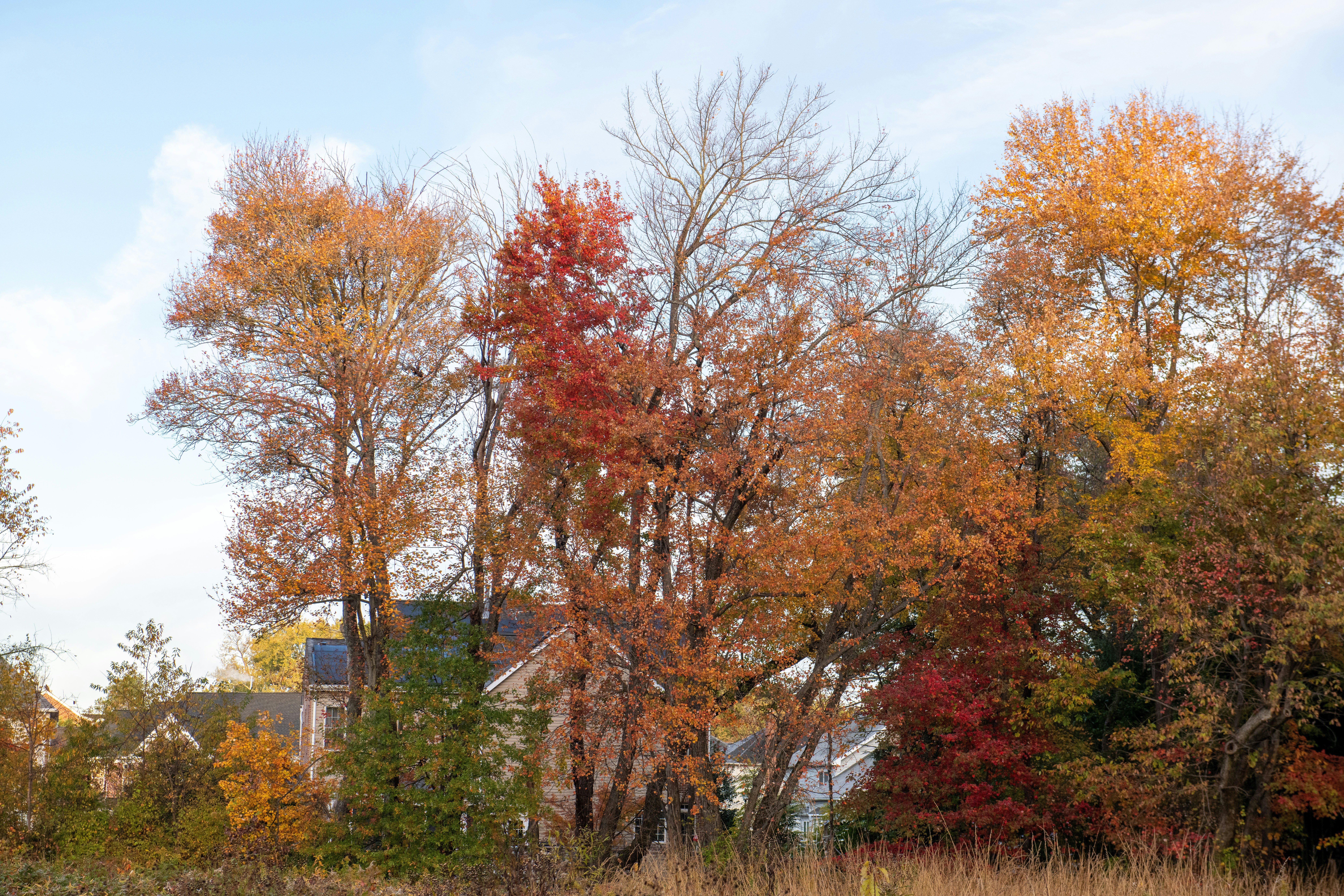 Photo by sriniunsplash