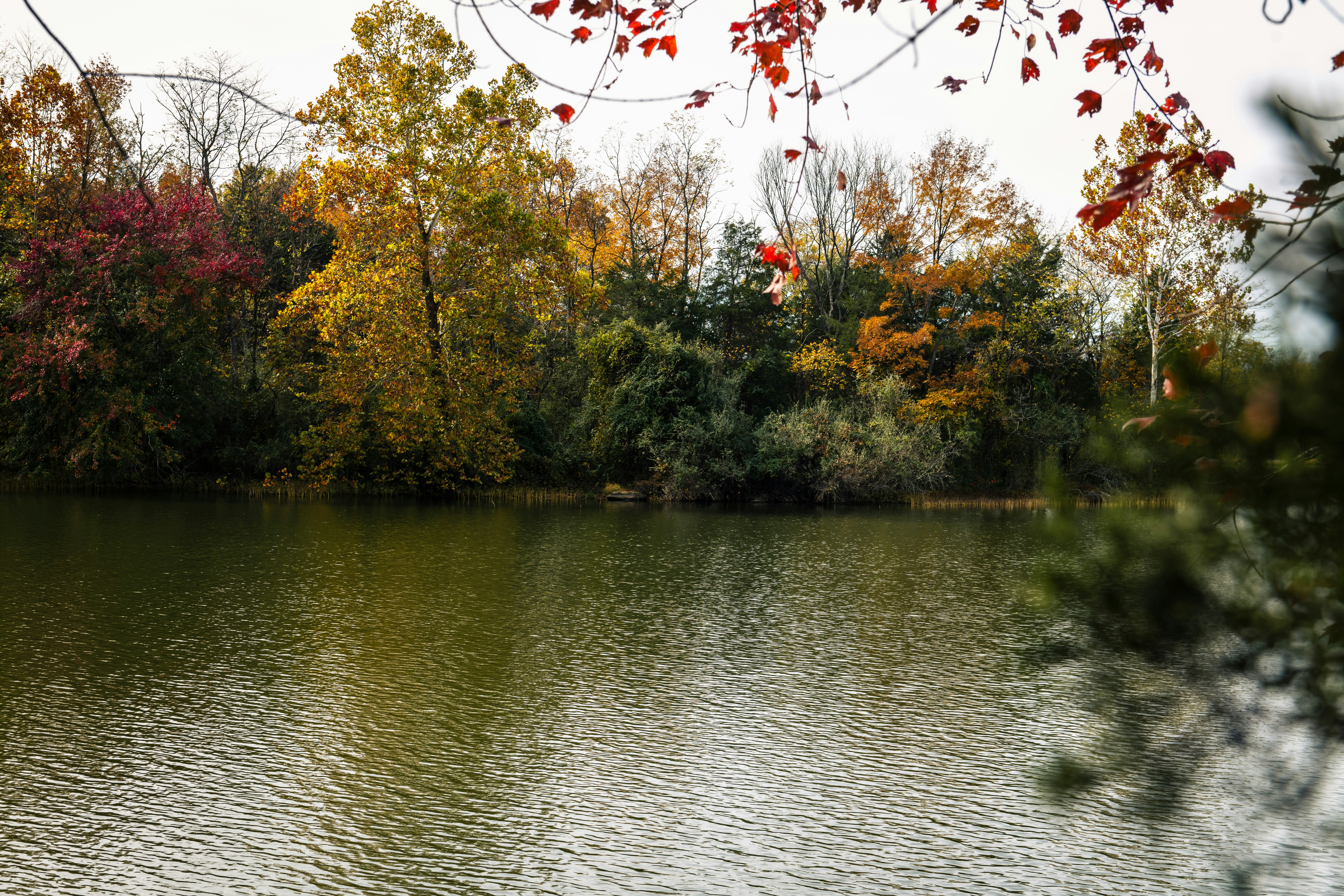 Photo by sriniunsplash