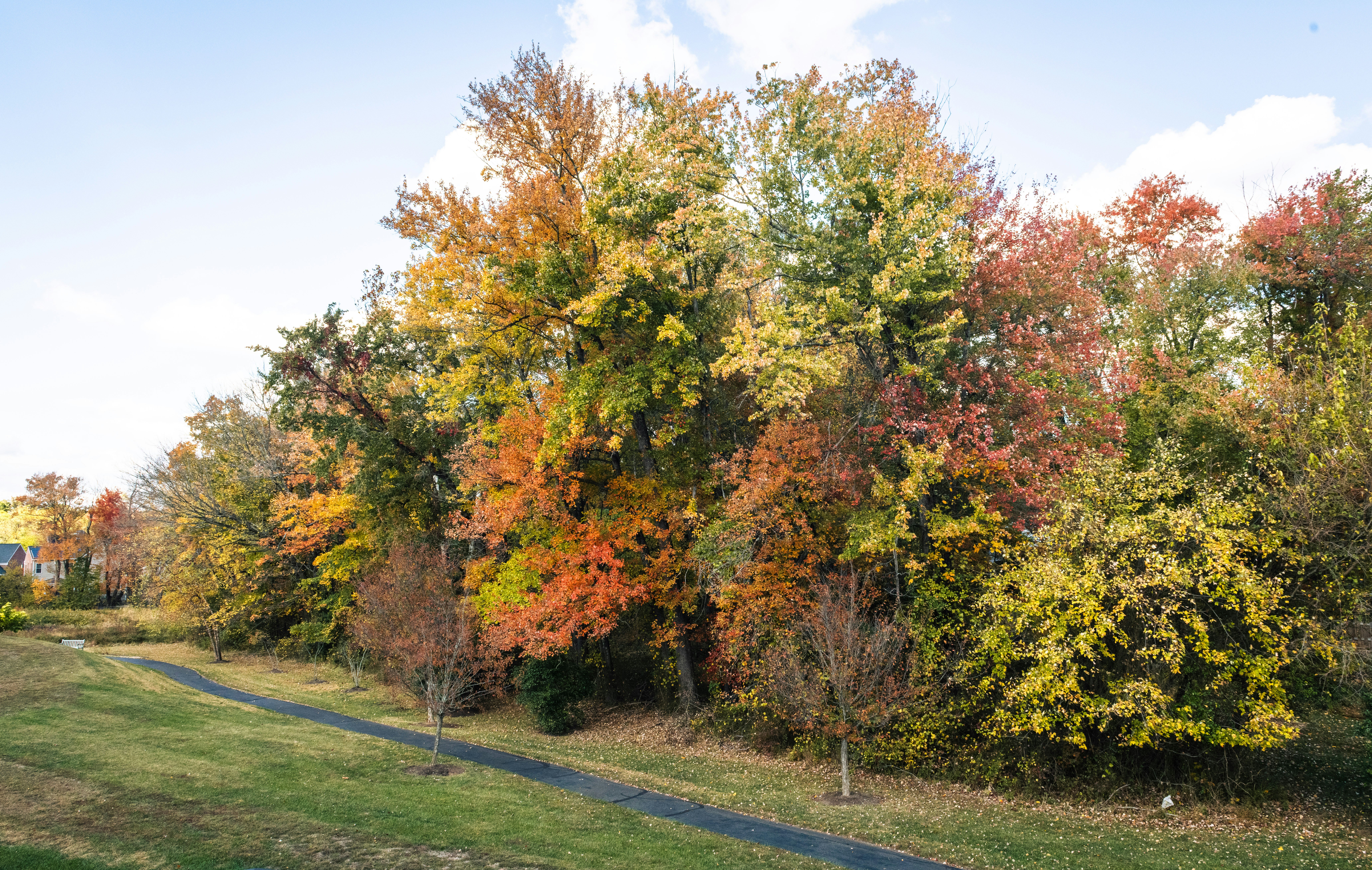 Photo by sriniunsplash