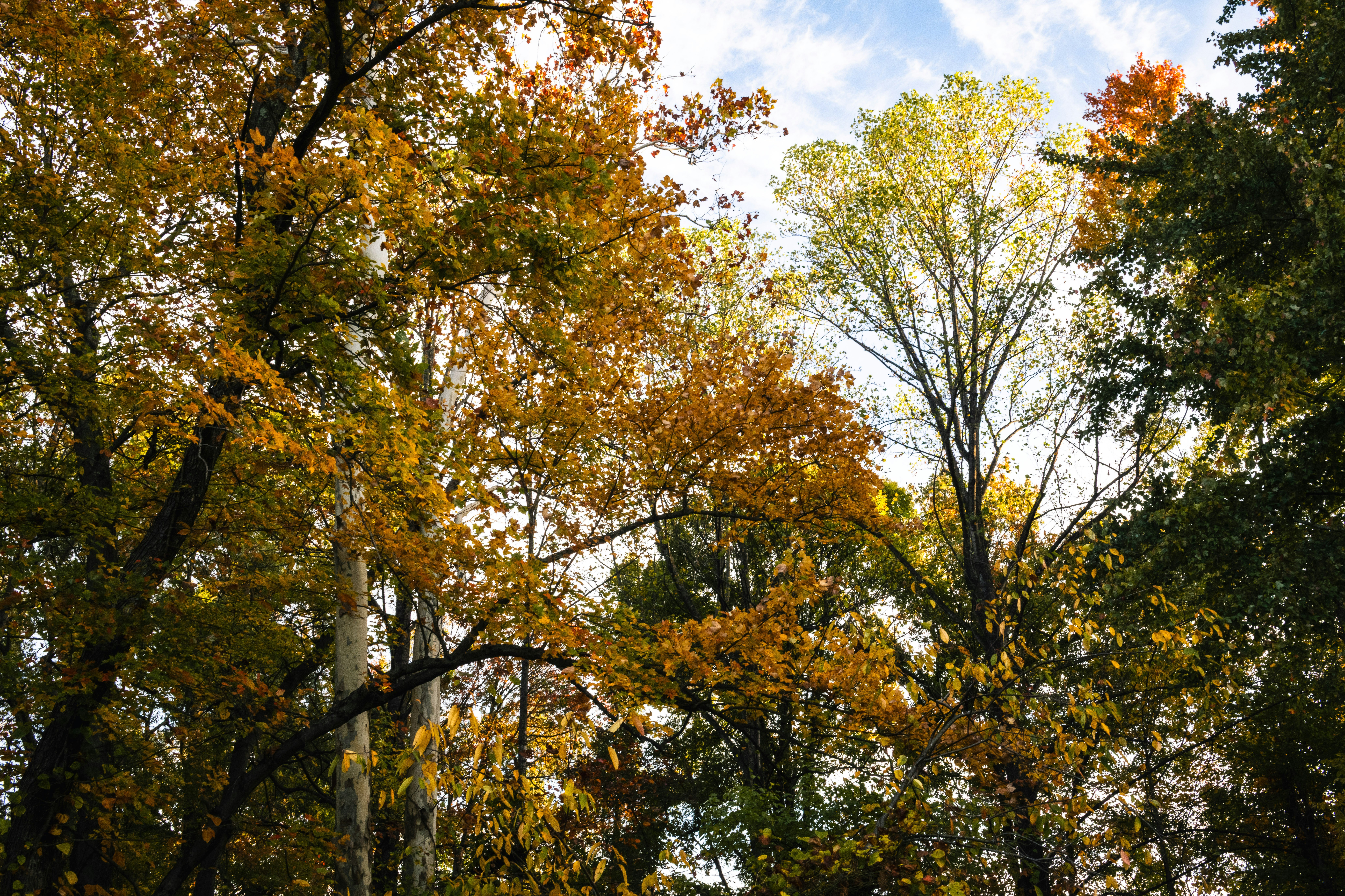 Photo by sriniunsplash