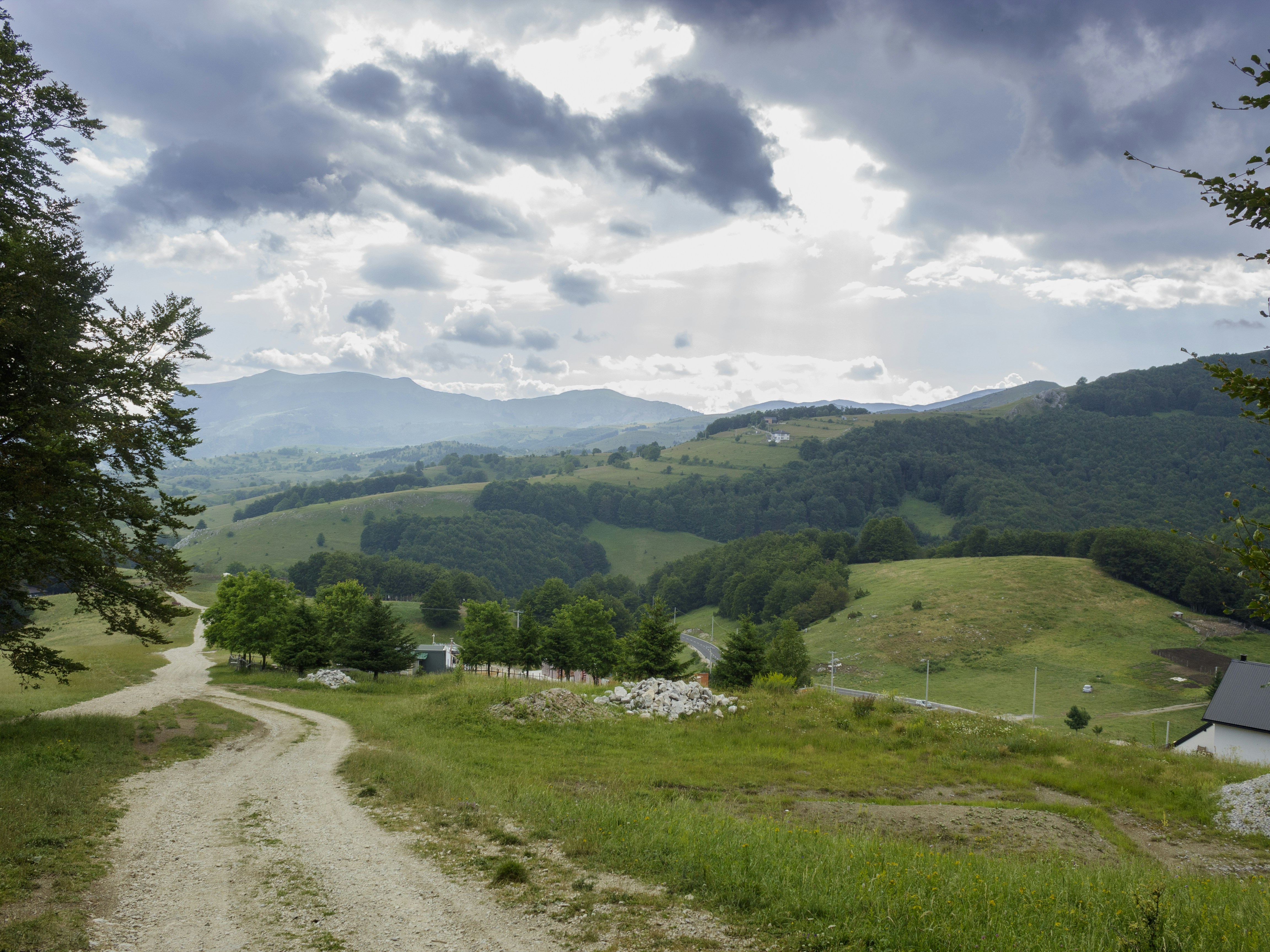 Photo by sporisevicphotography