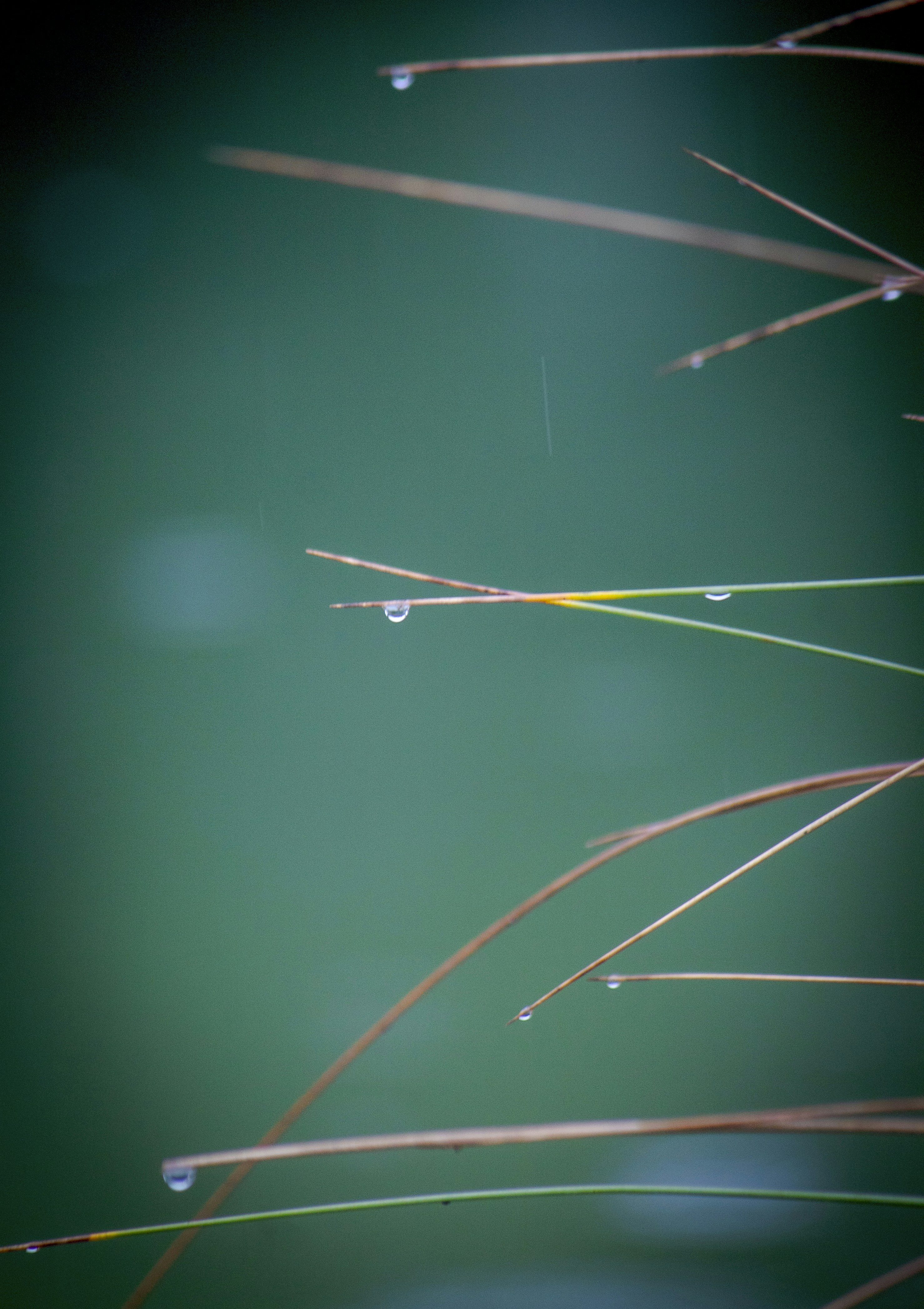 Photo by sporisevicphotography