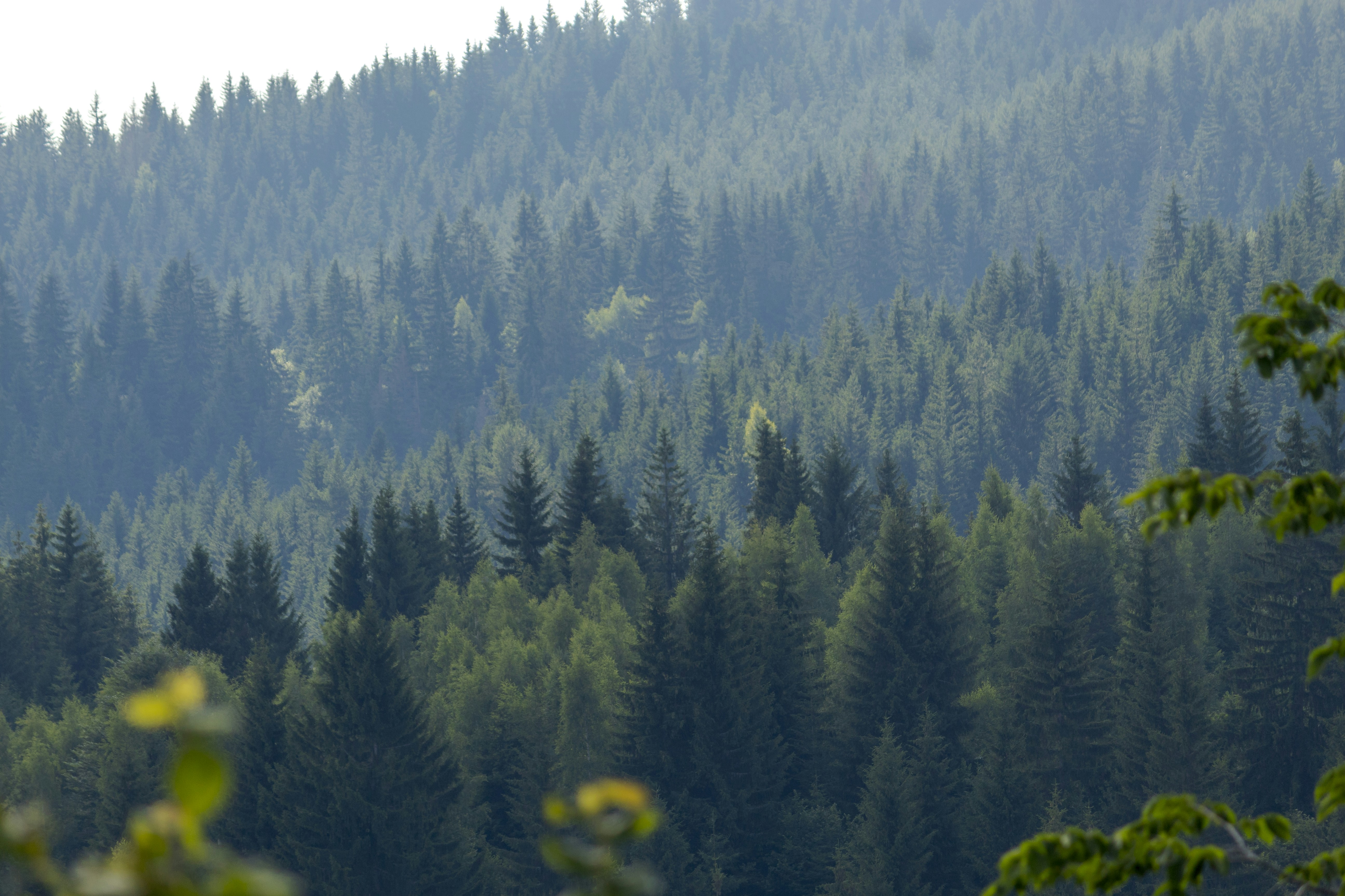 Photo by sporisevicphotography