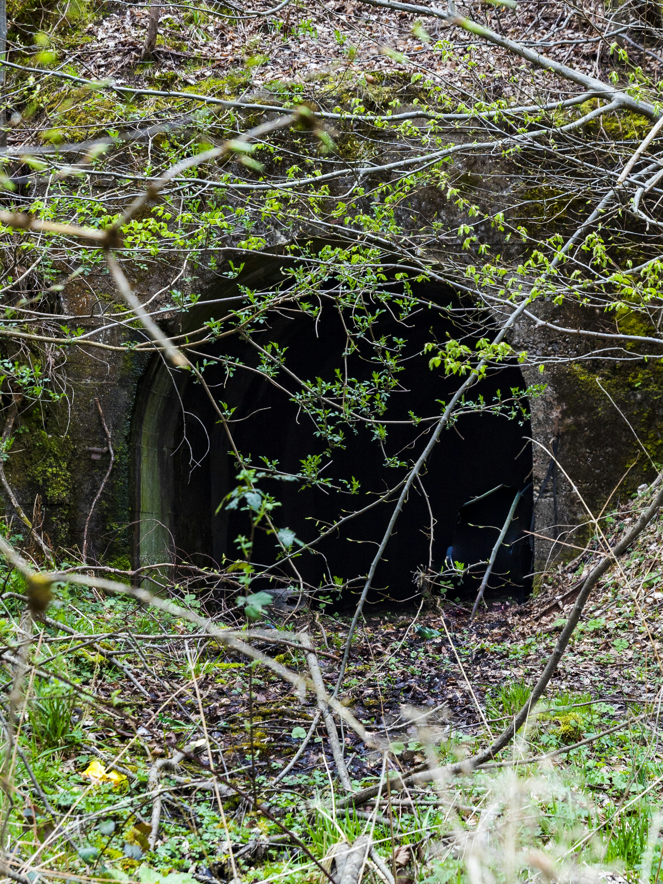 Photo by sporisevicphotography