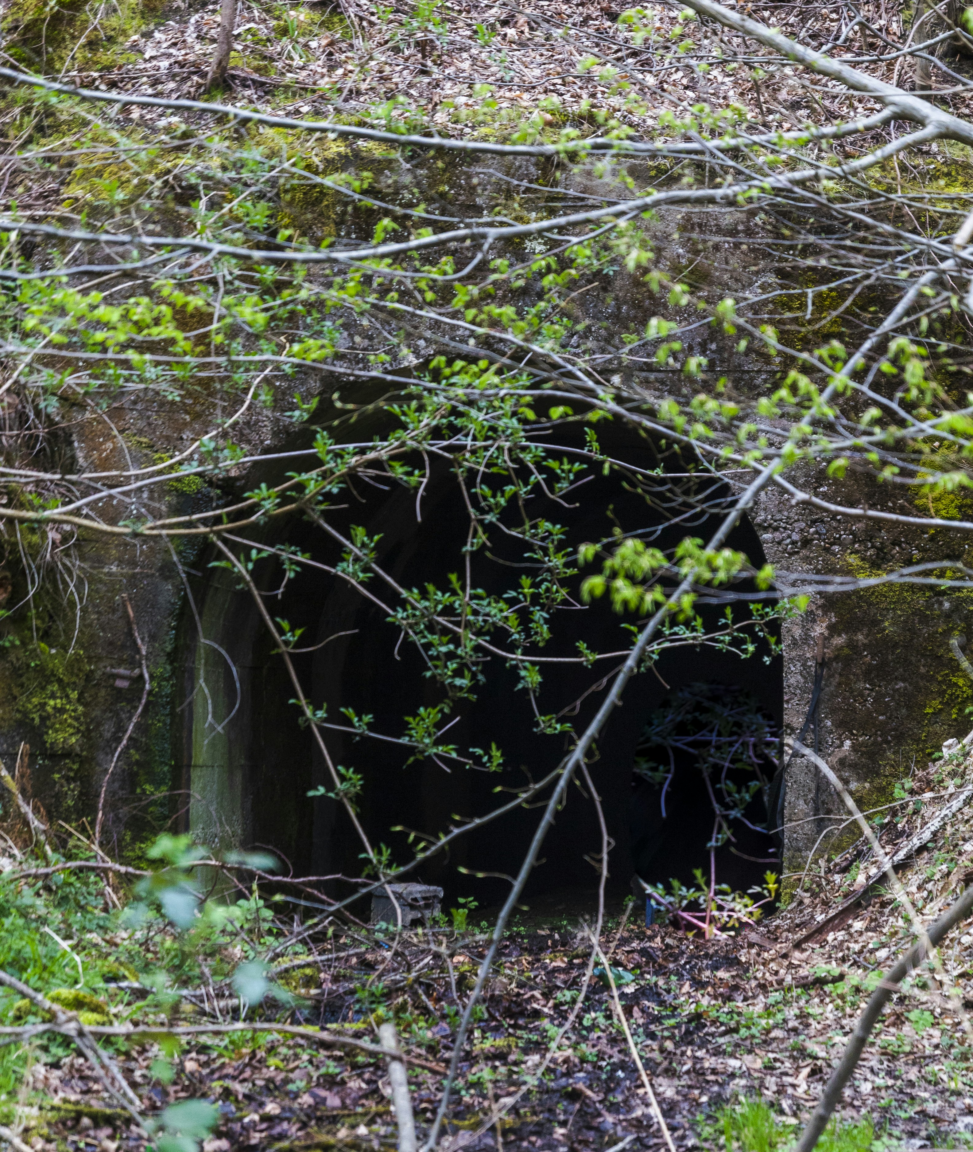 Photo by sporisevicphotography