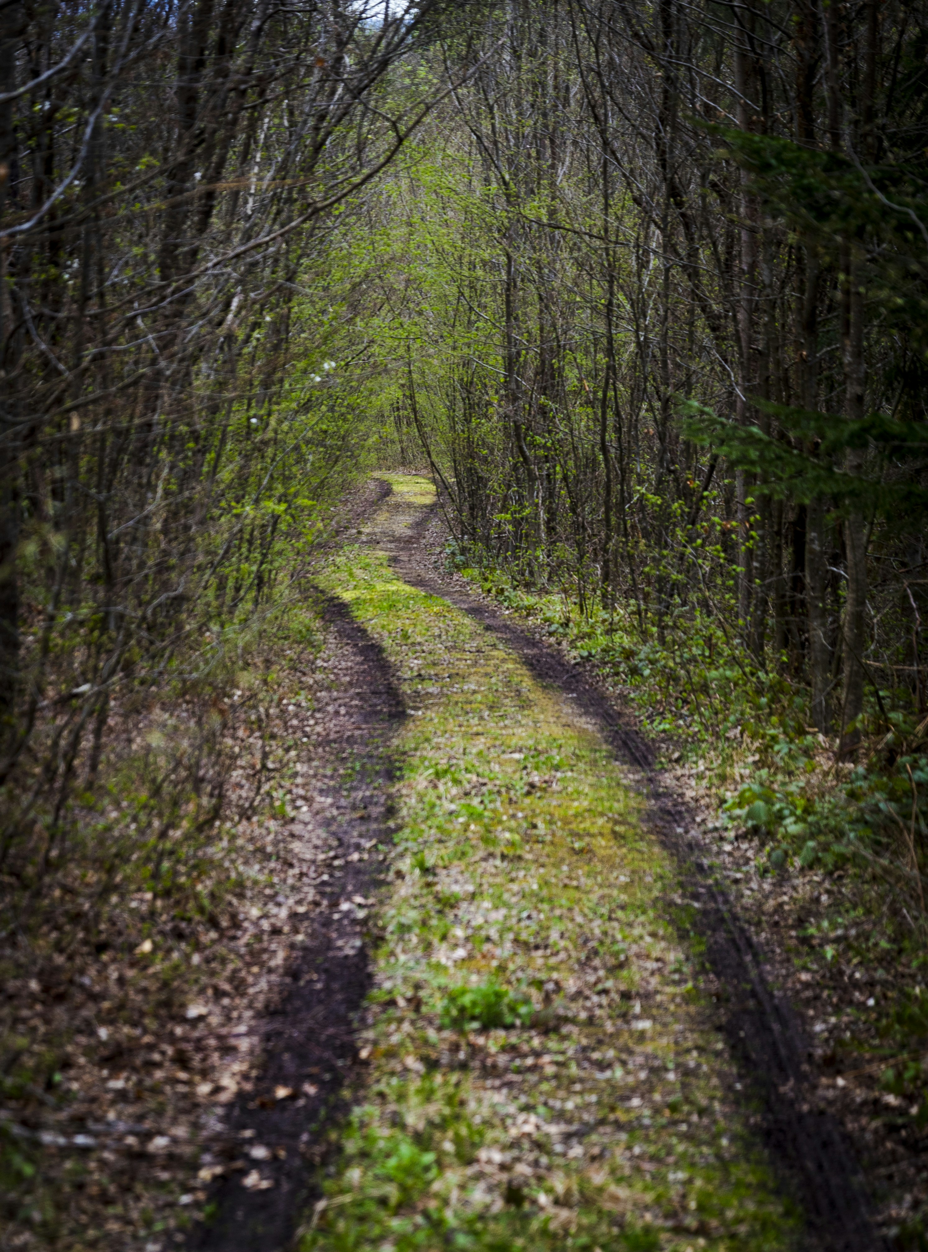 Photo by sporisevicphotography