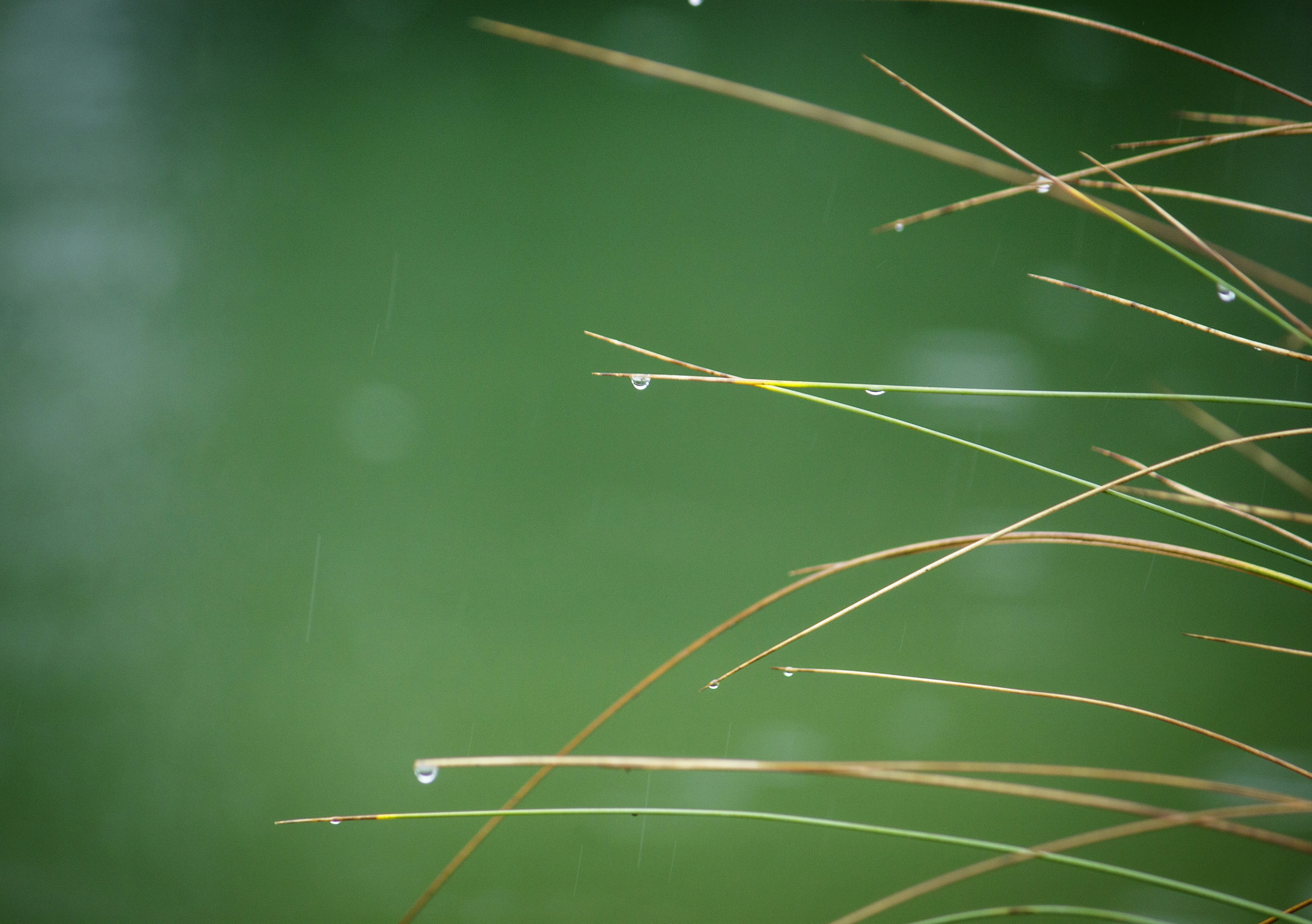 Photo by sporisevicphotography