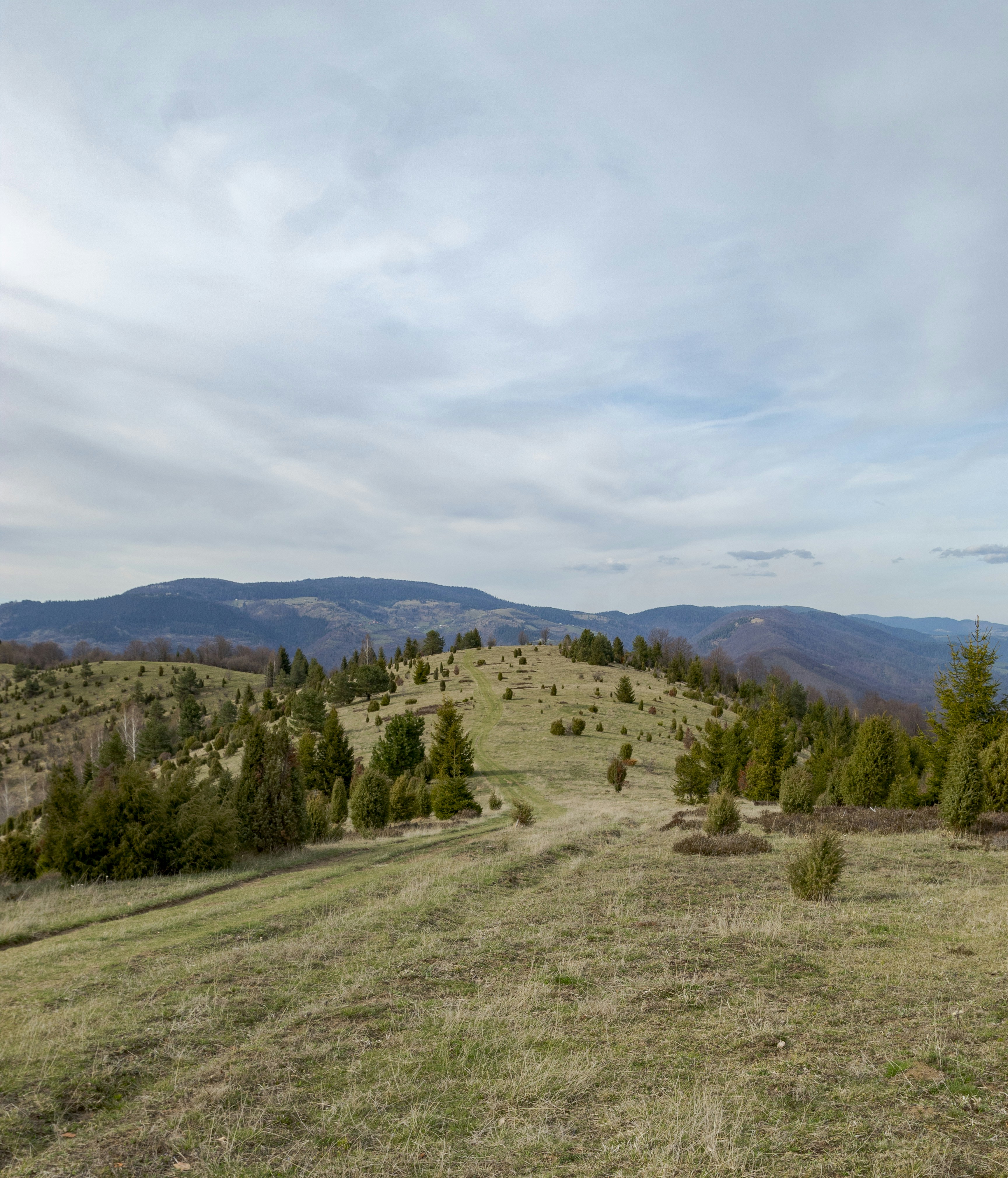 Photo by sporisevicphotography