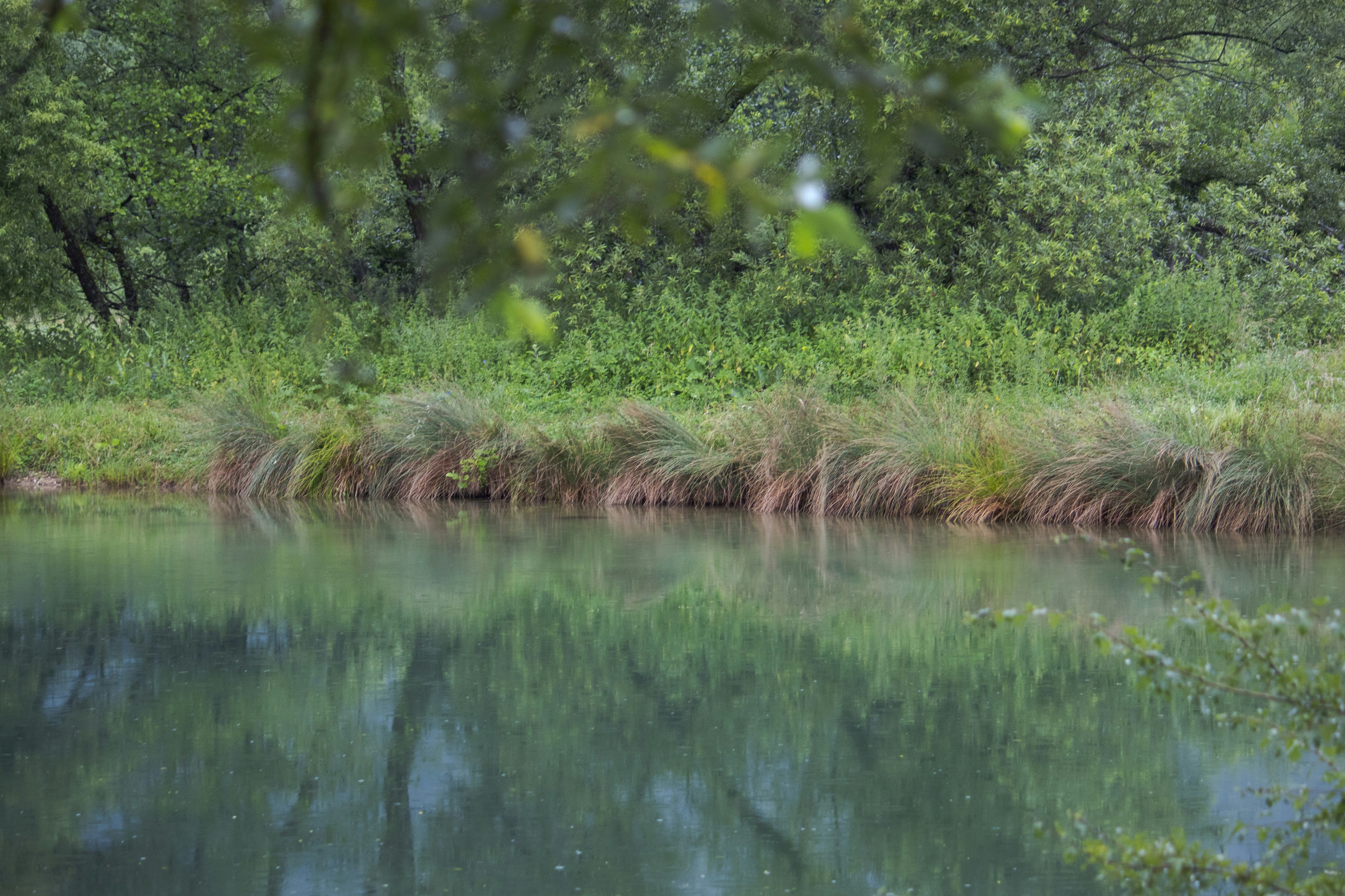 Photo by sporisevicphotography