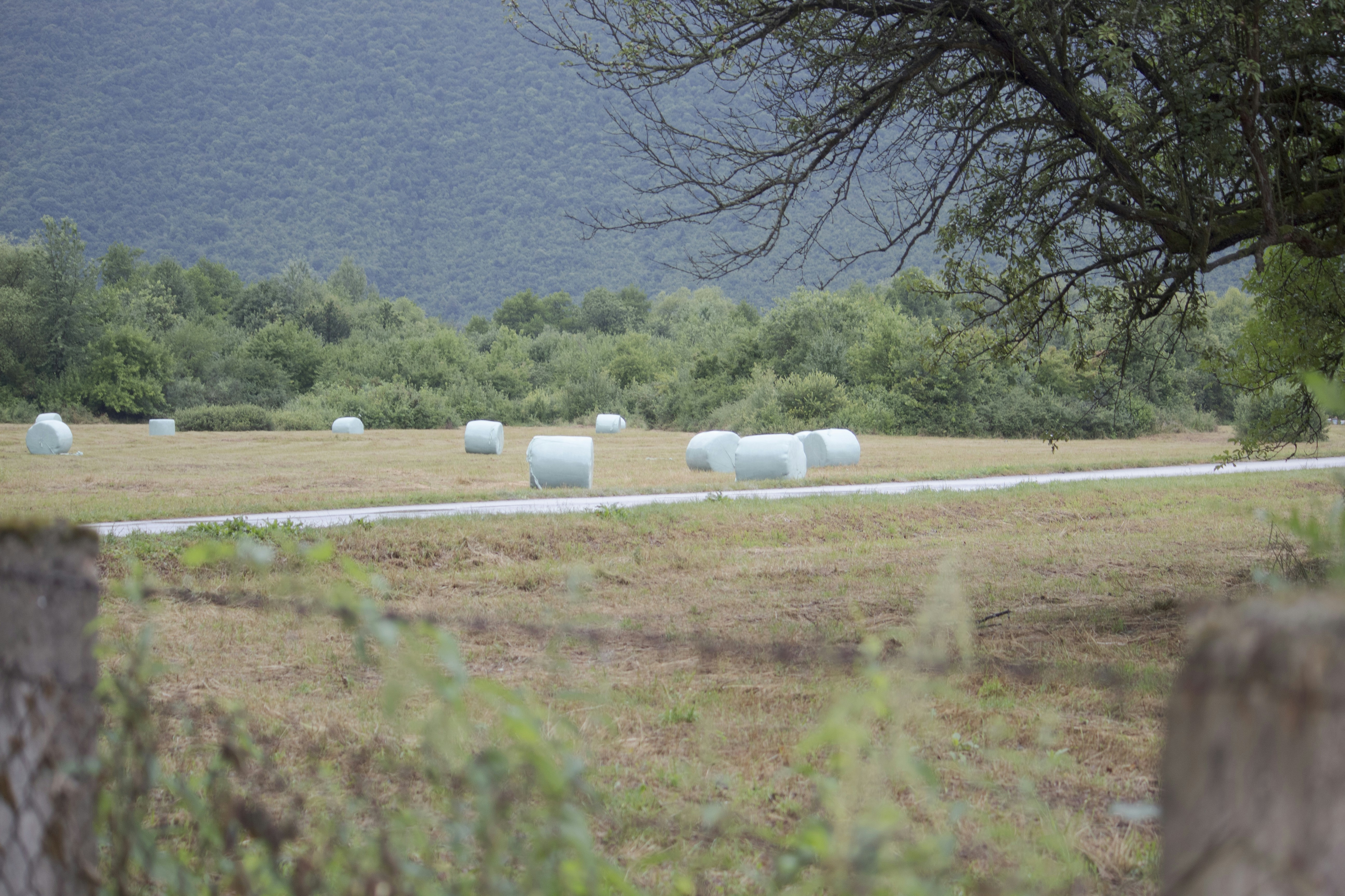 Hay bales wrapped in white plastic on a dry field.