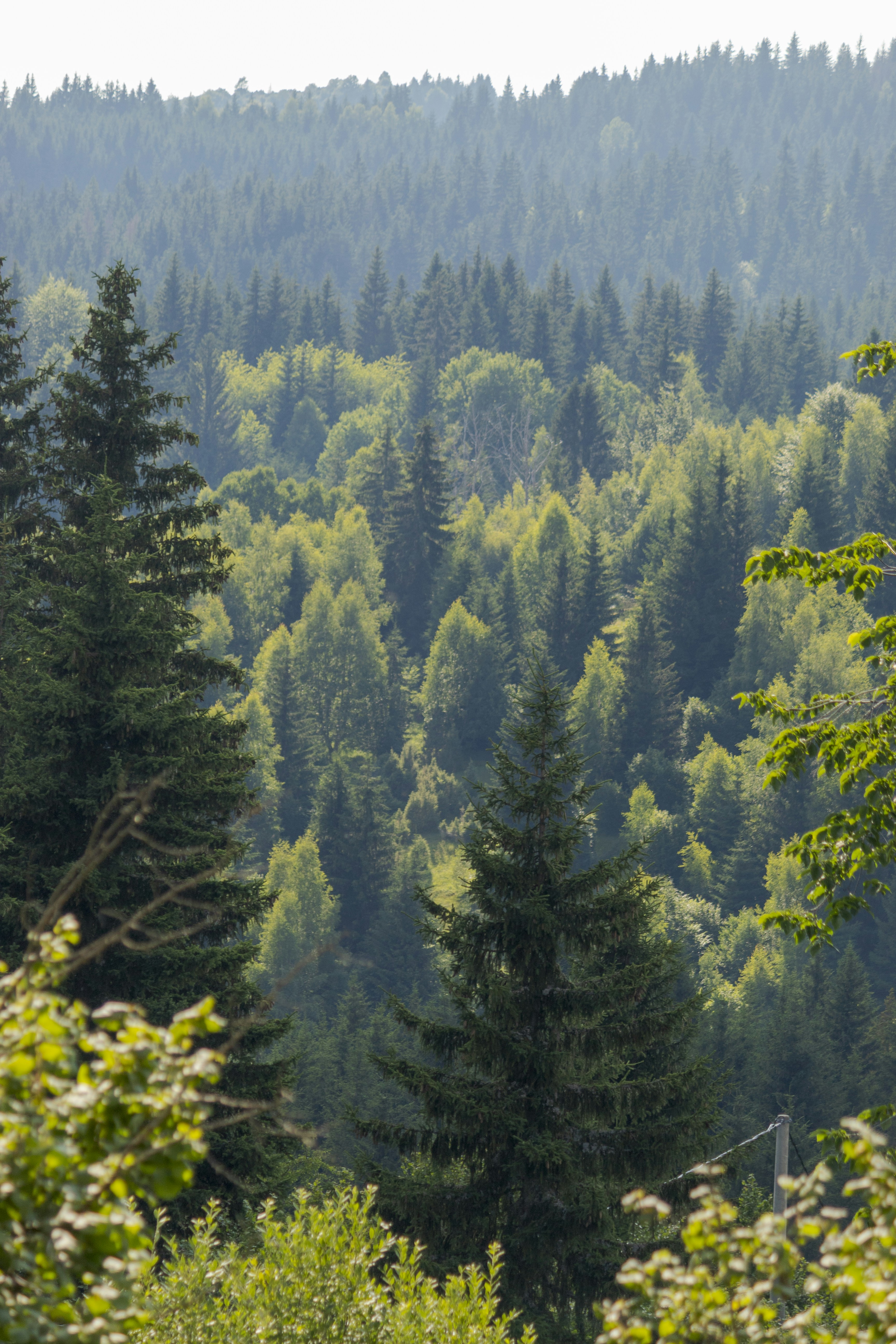 Photo by sporisevicphotography