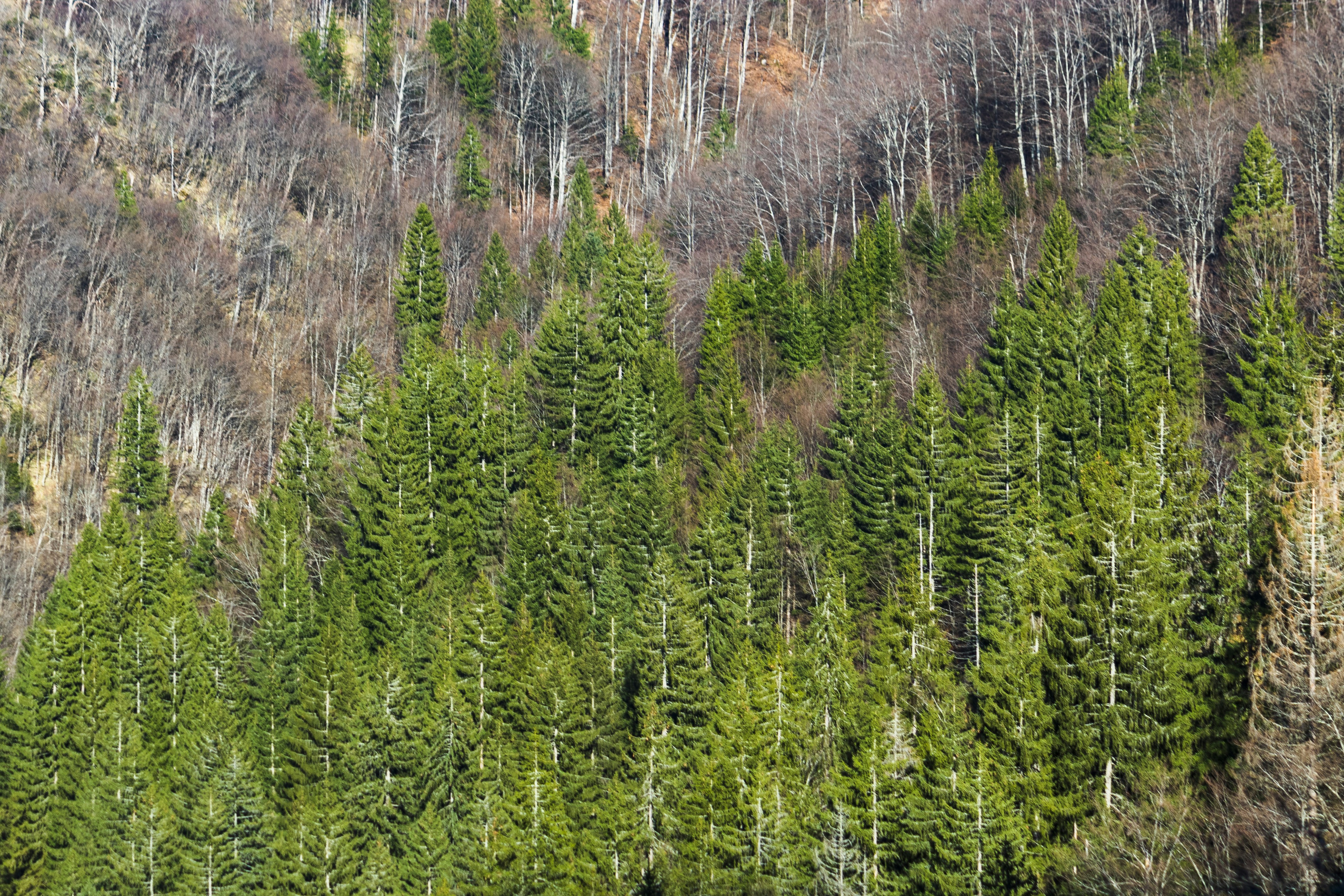 Photo by sporisevicphotography