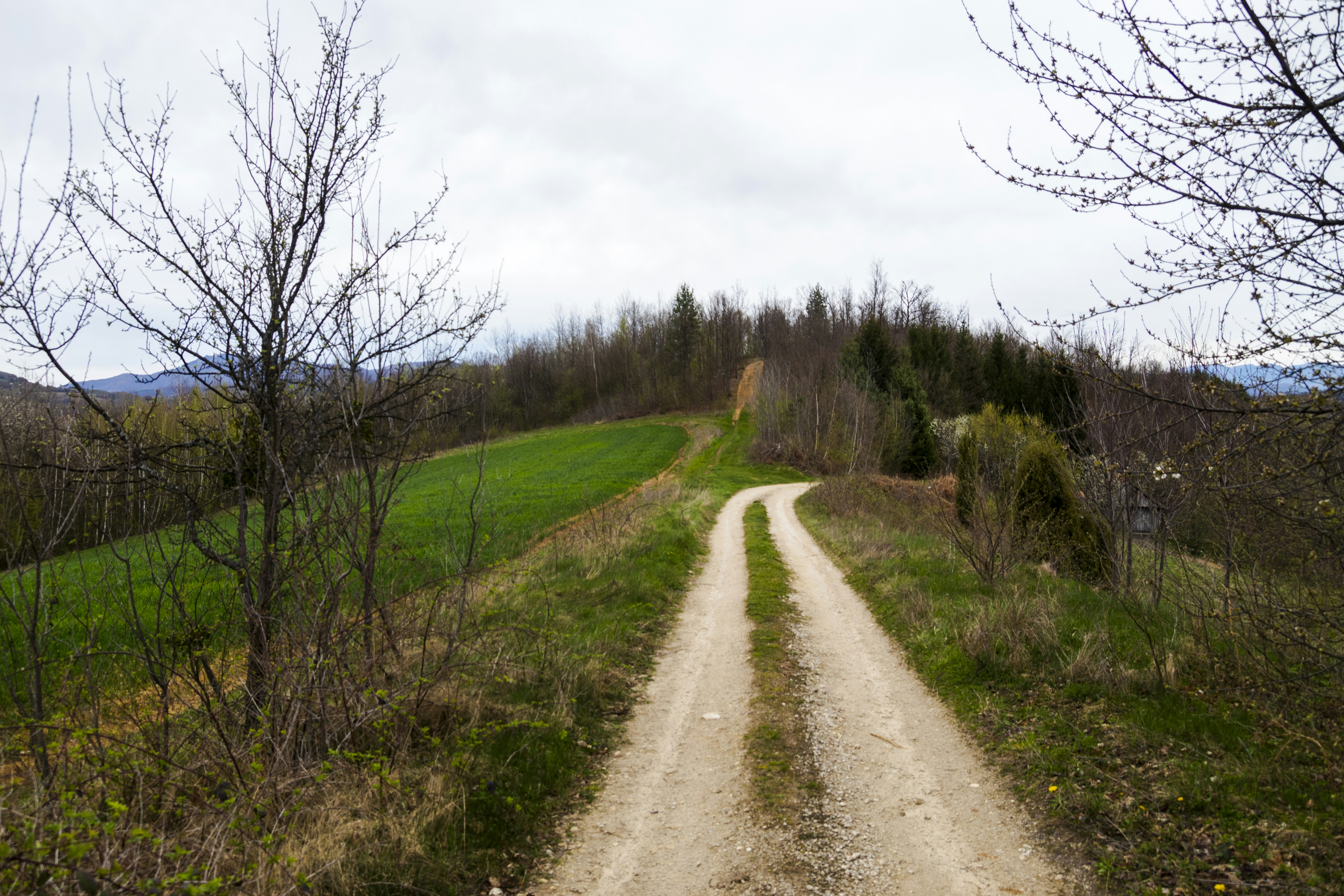 Photo by sporisevicphotography