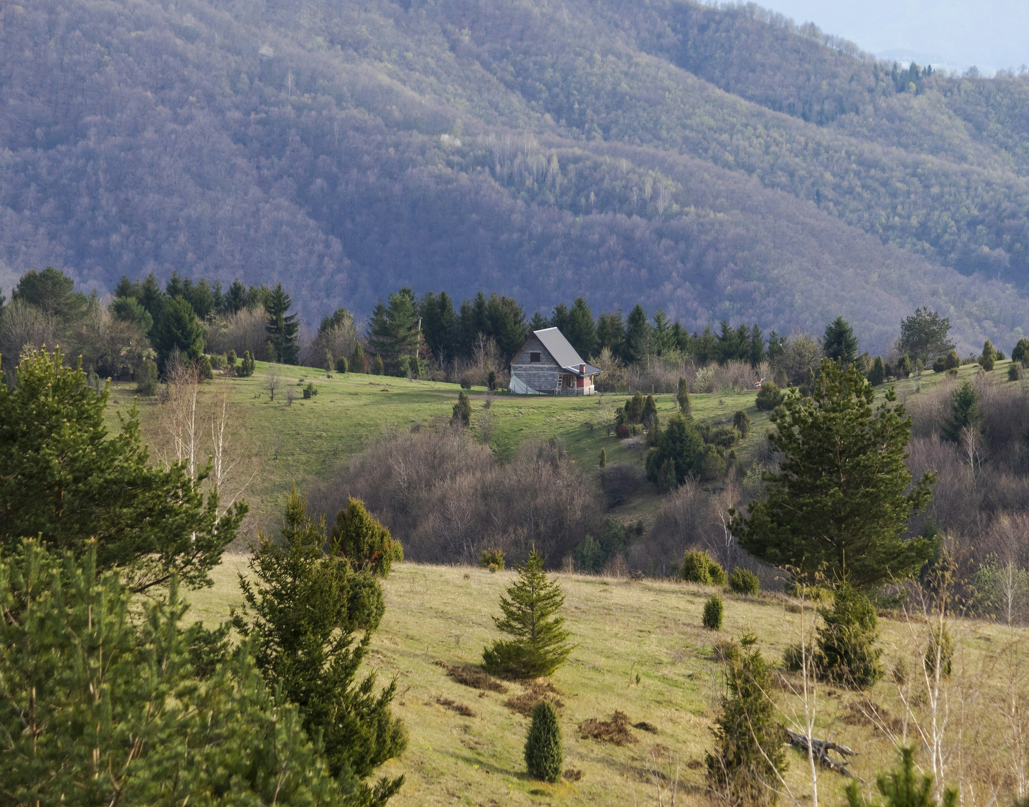 Photo by sporisevicphotography