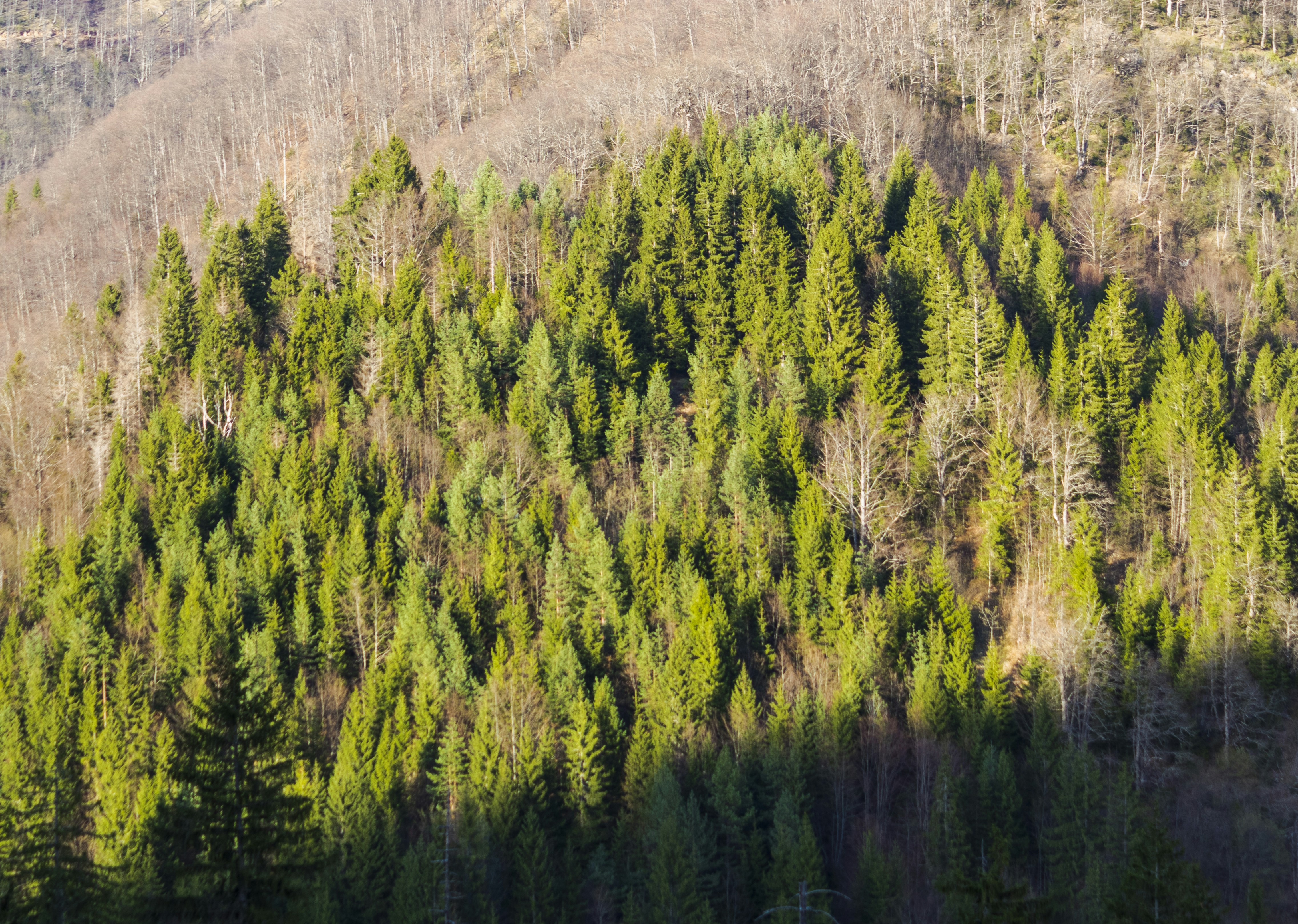 Photo by sporisevicphotography