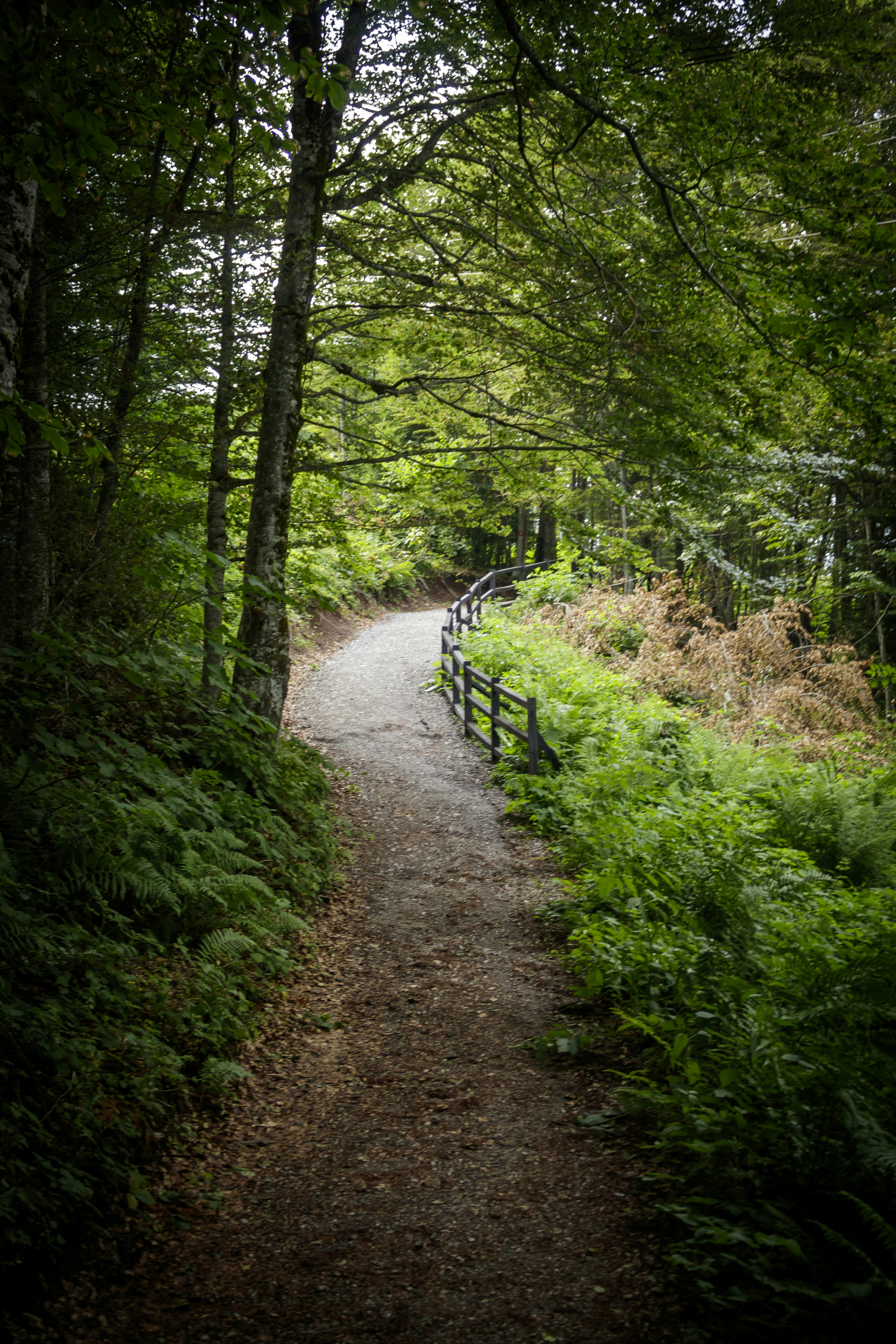 Photo by sporisevicphotography