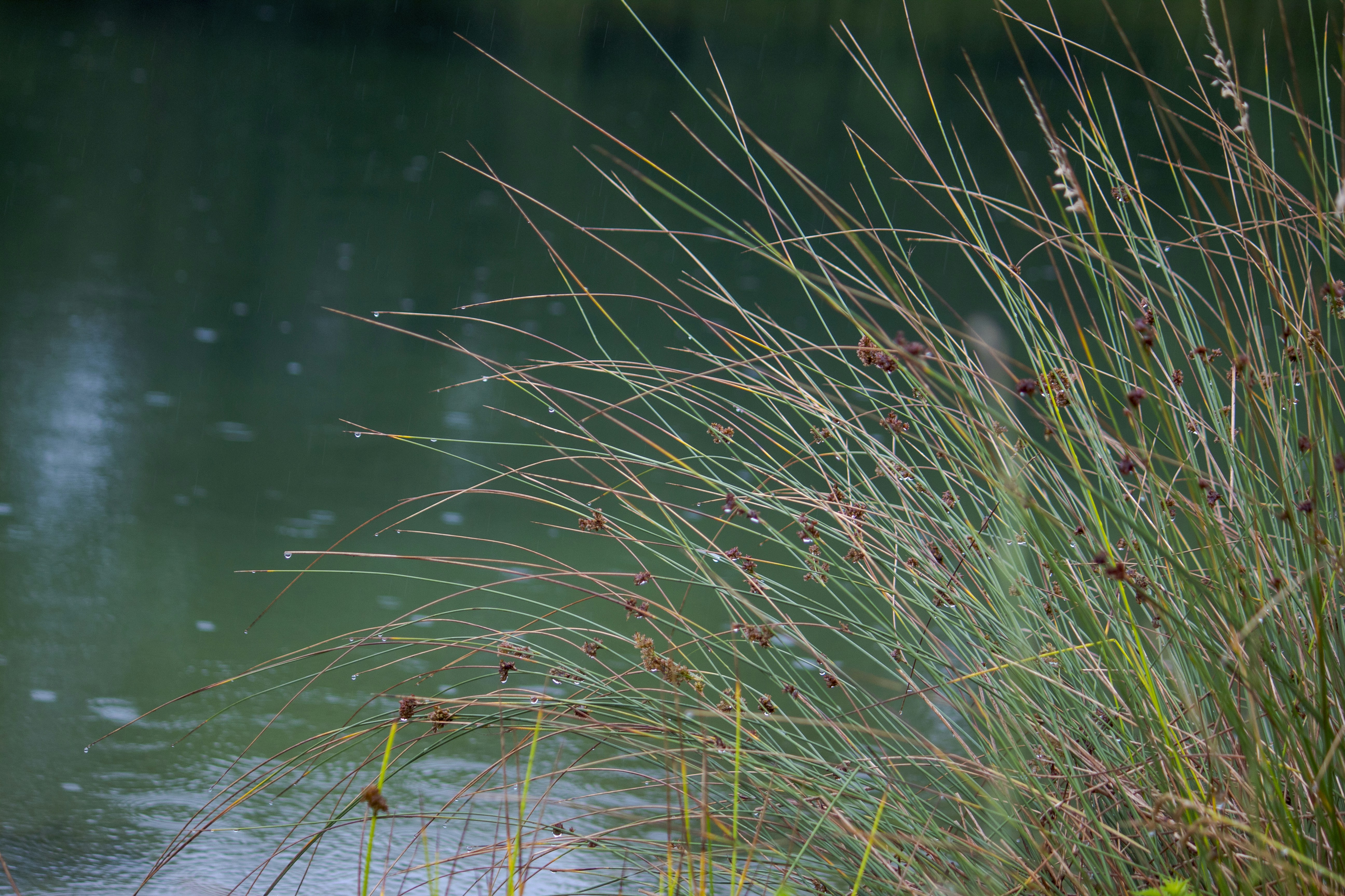 Photo by sporisevicphotography