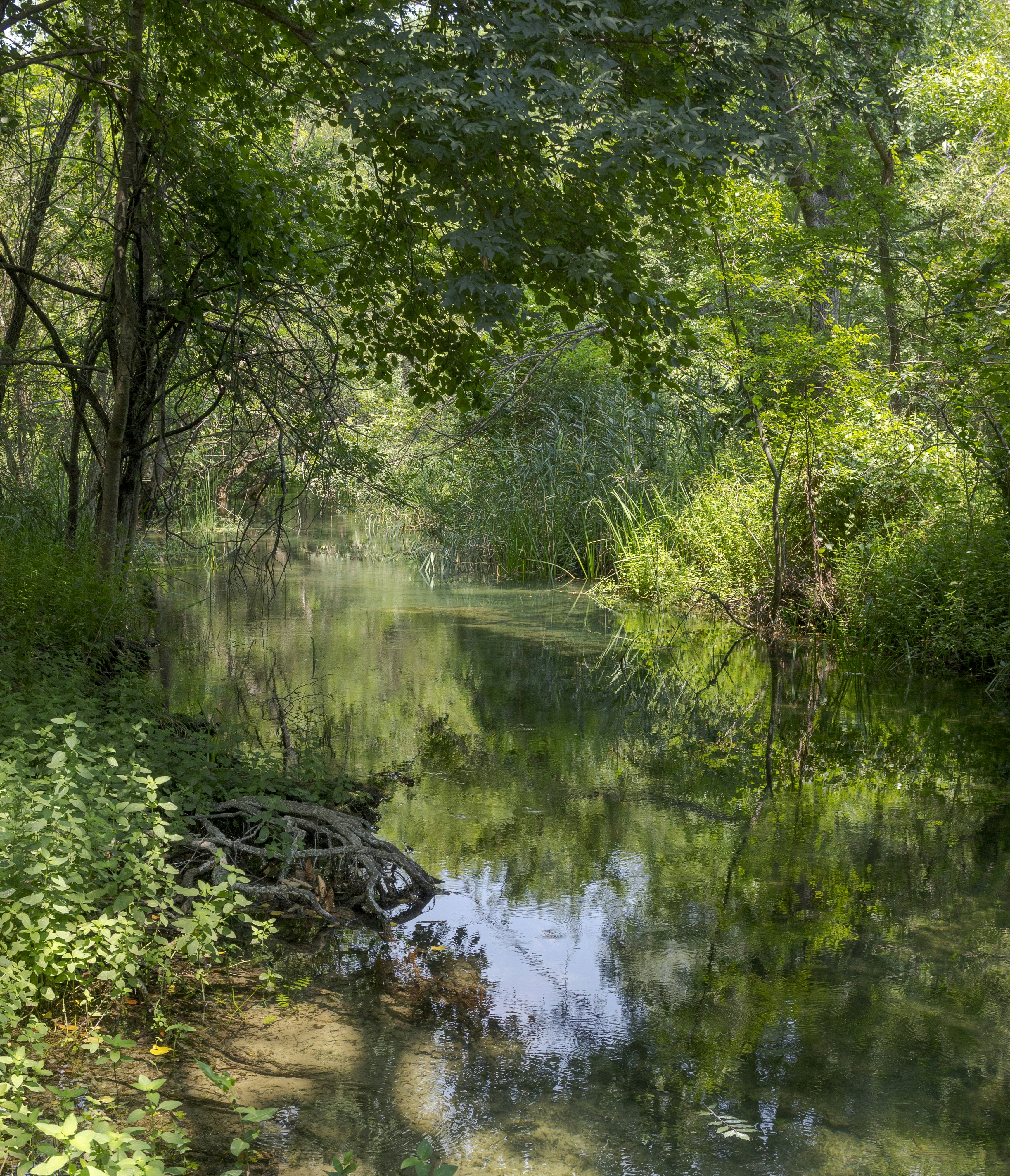 Photo by sporisevicphotography