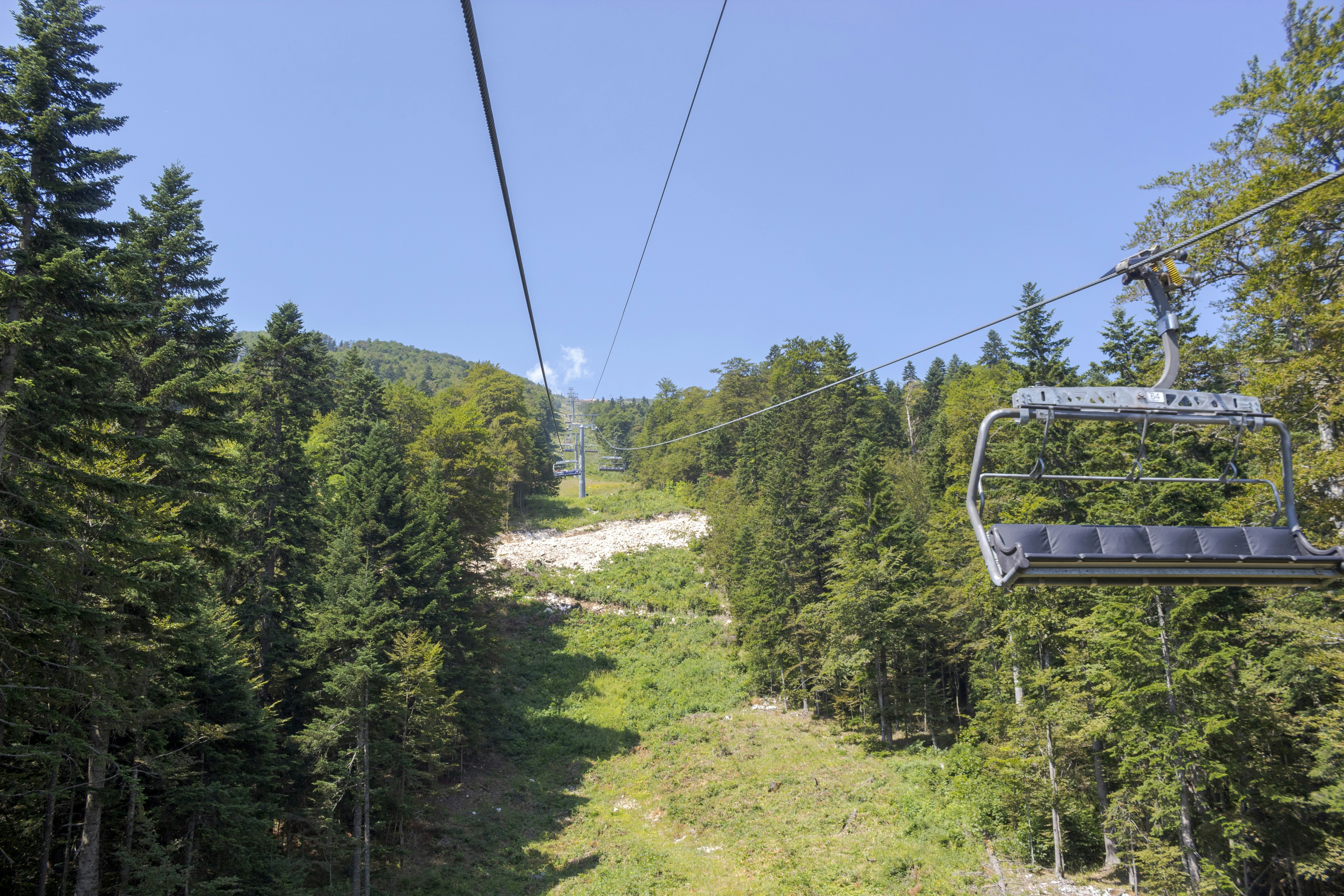 Photo by sporisevicphotography