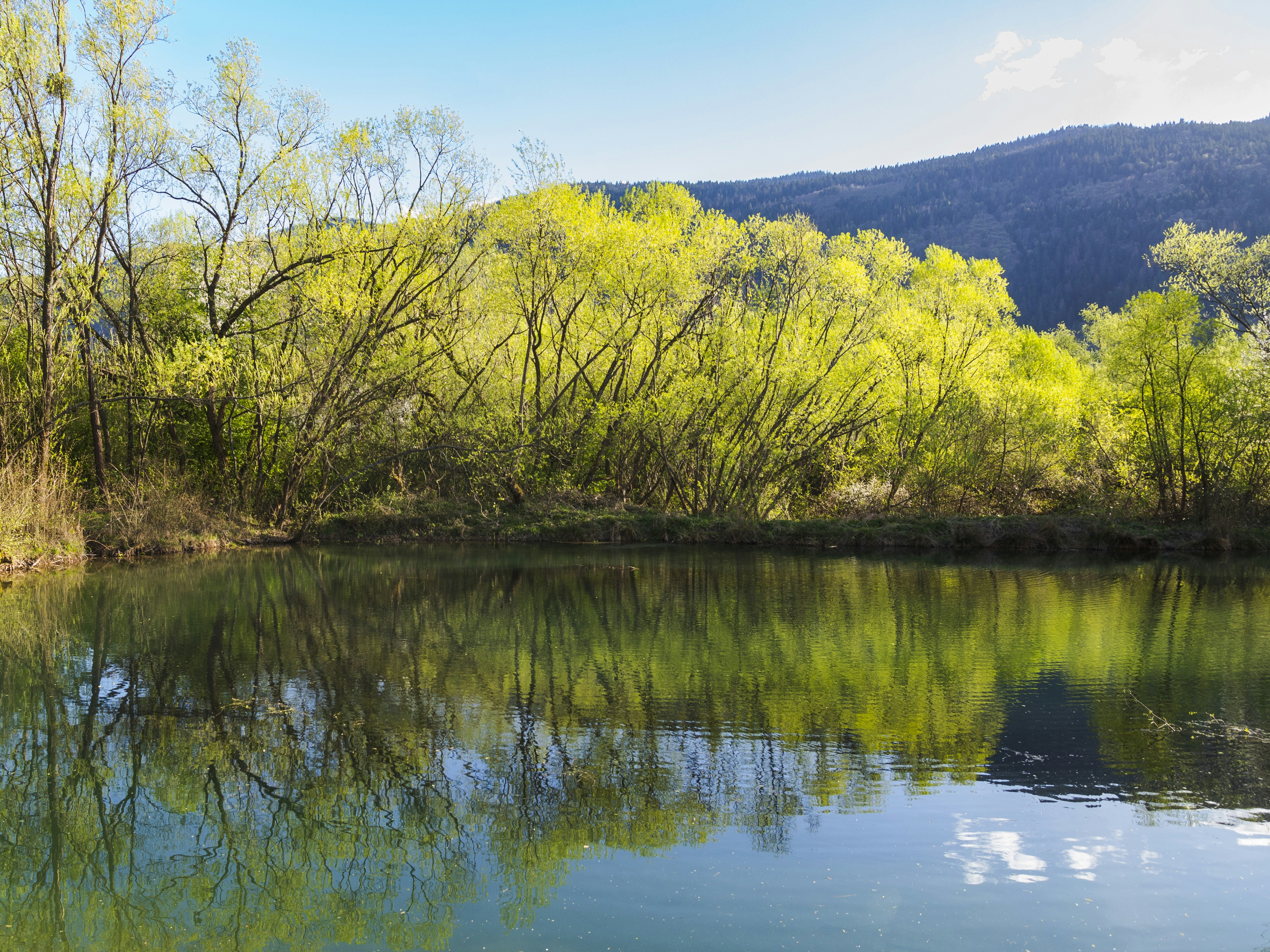 Photo by sporisevicphotography