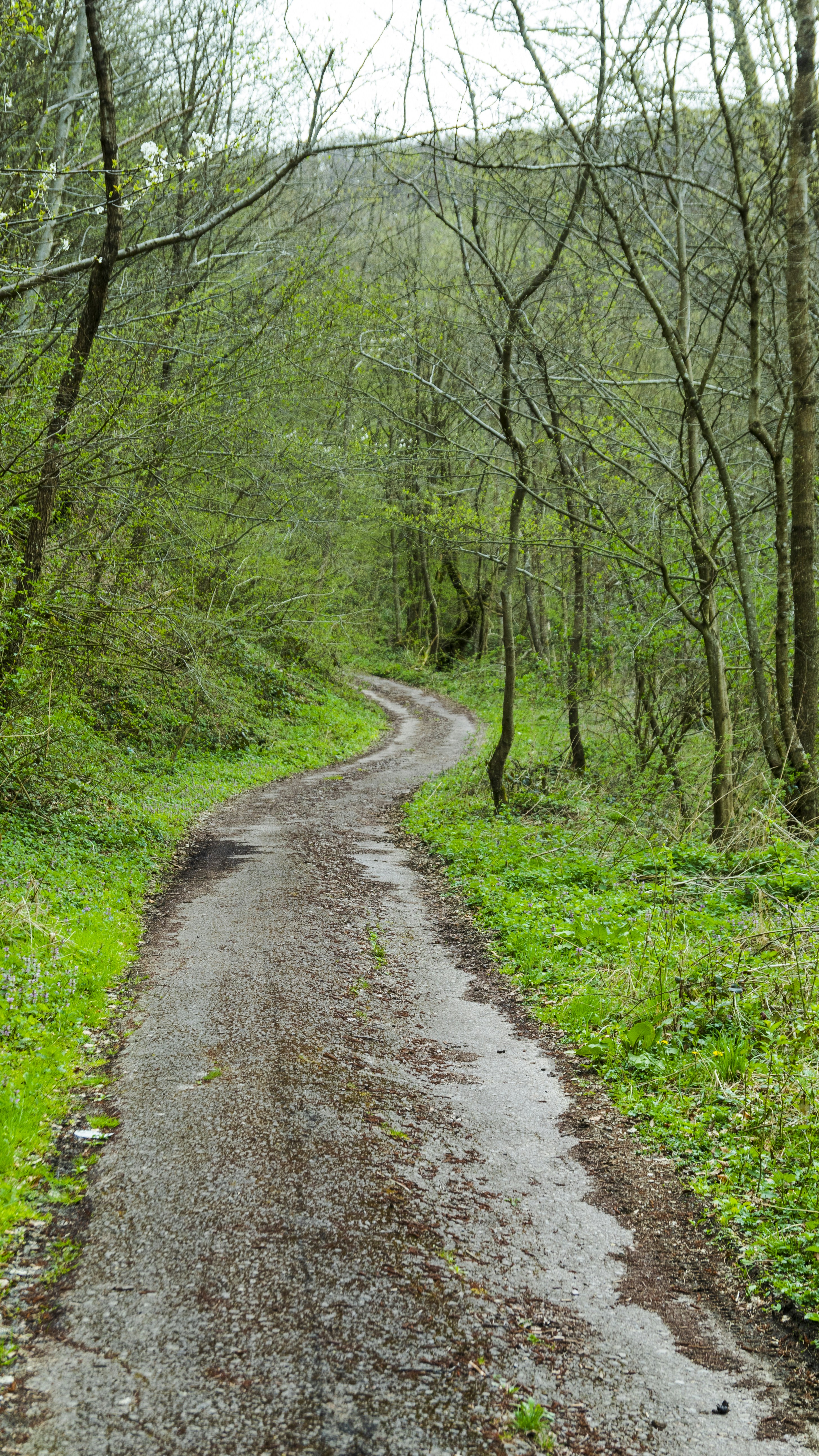 Photo by sporisevicphotography