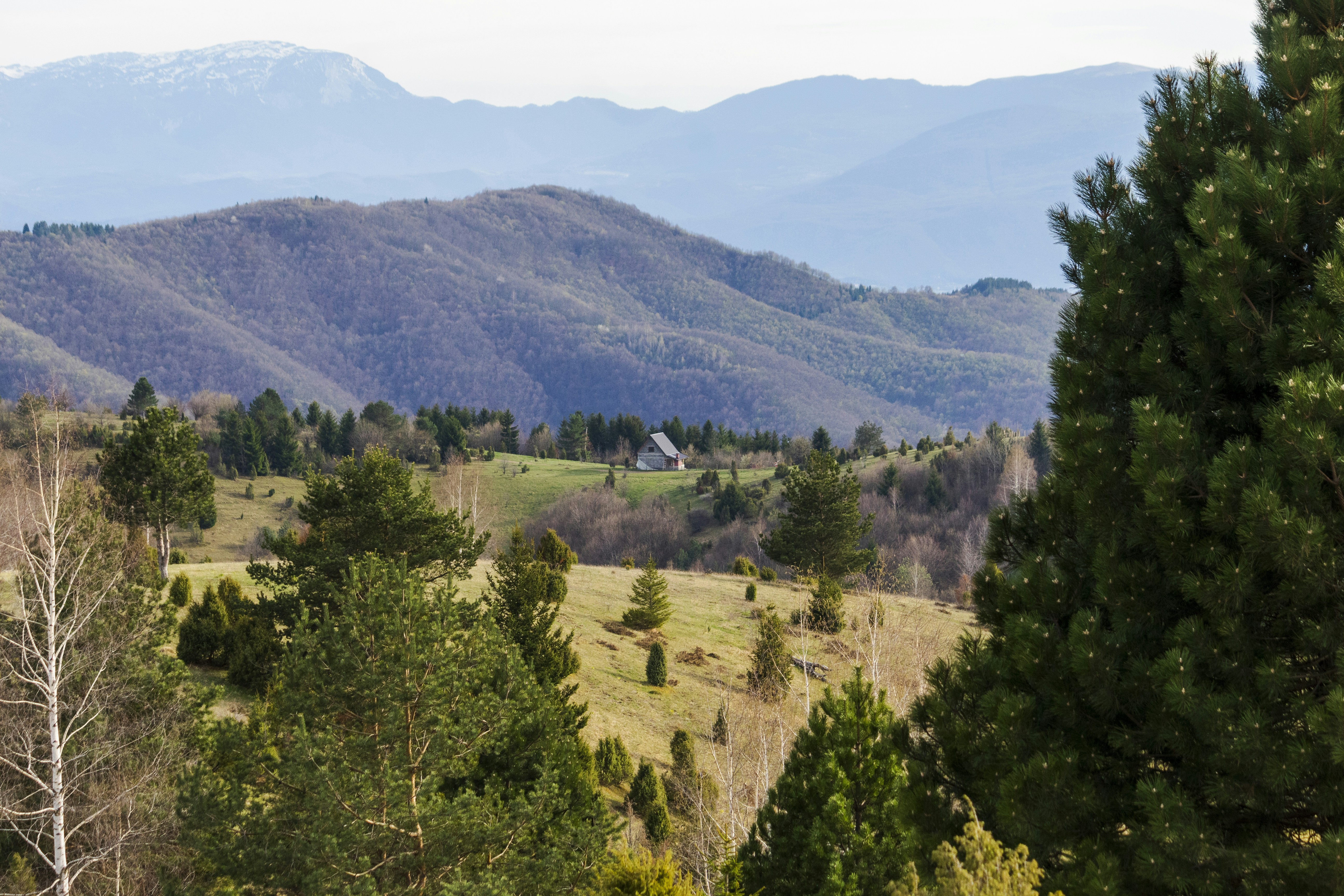 Photo by sporisevicphotography