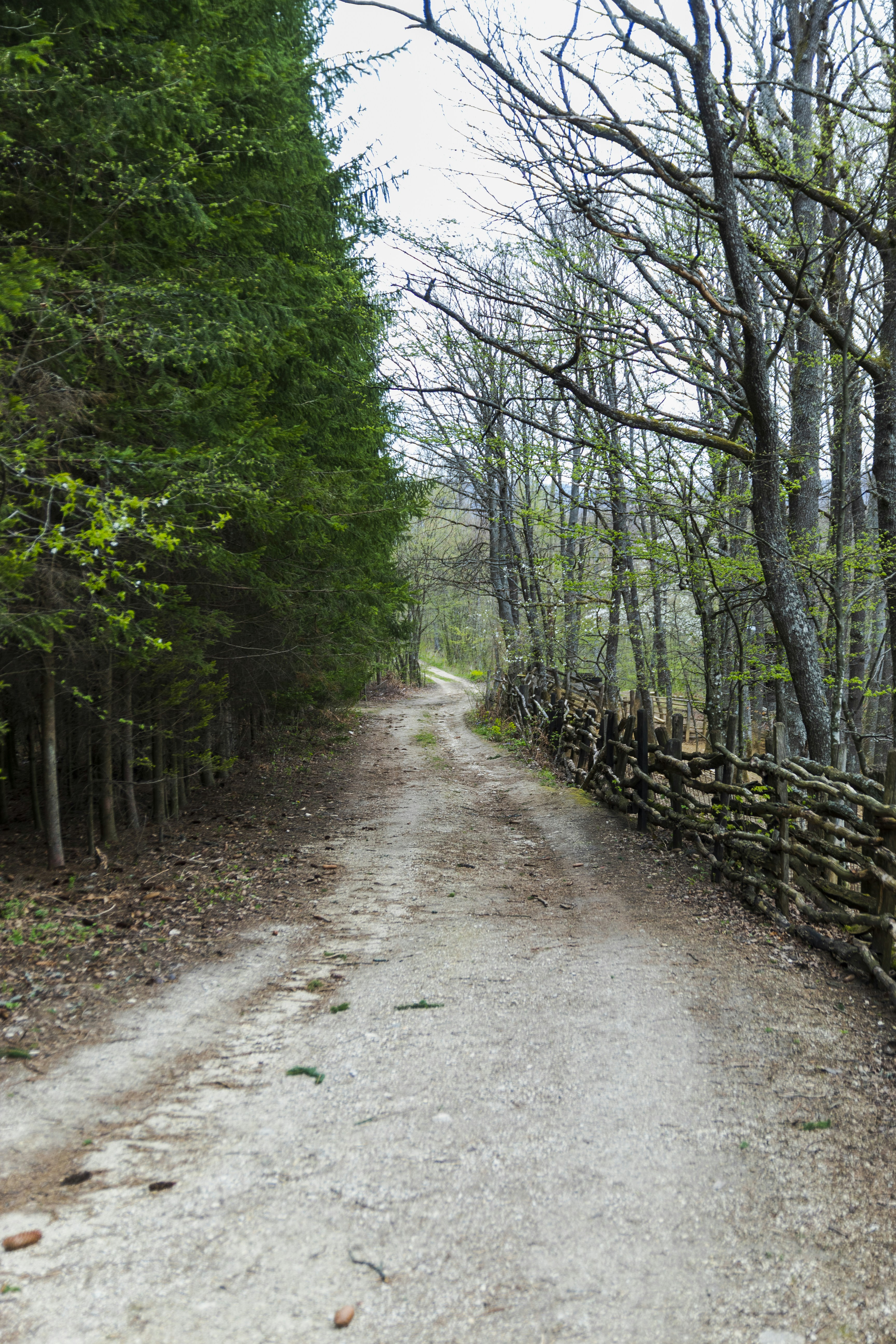 Photo by sporisevicphotography