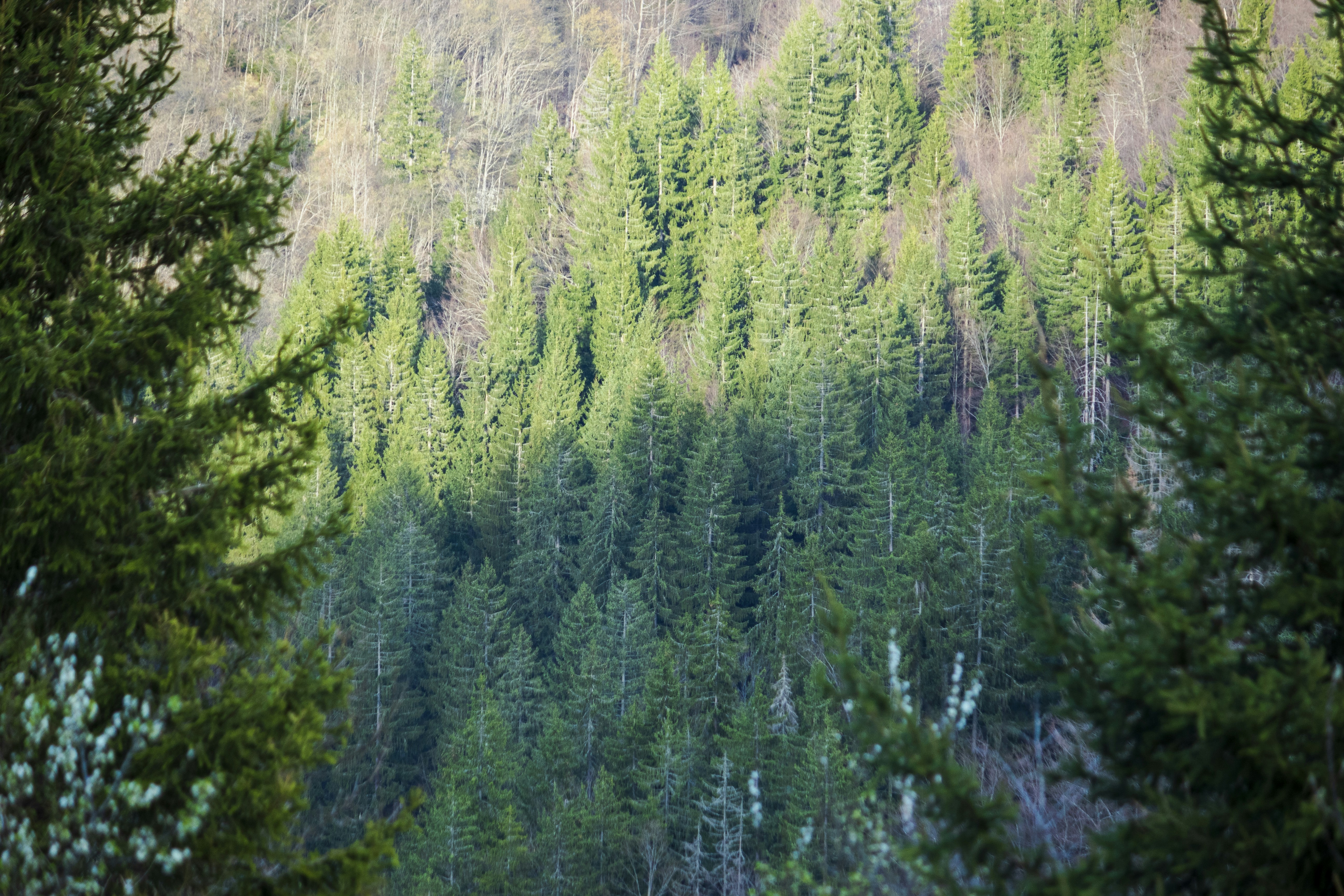 Photo by sporisevicphotography