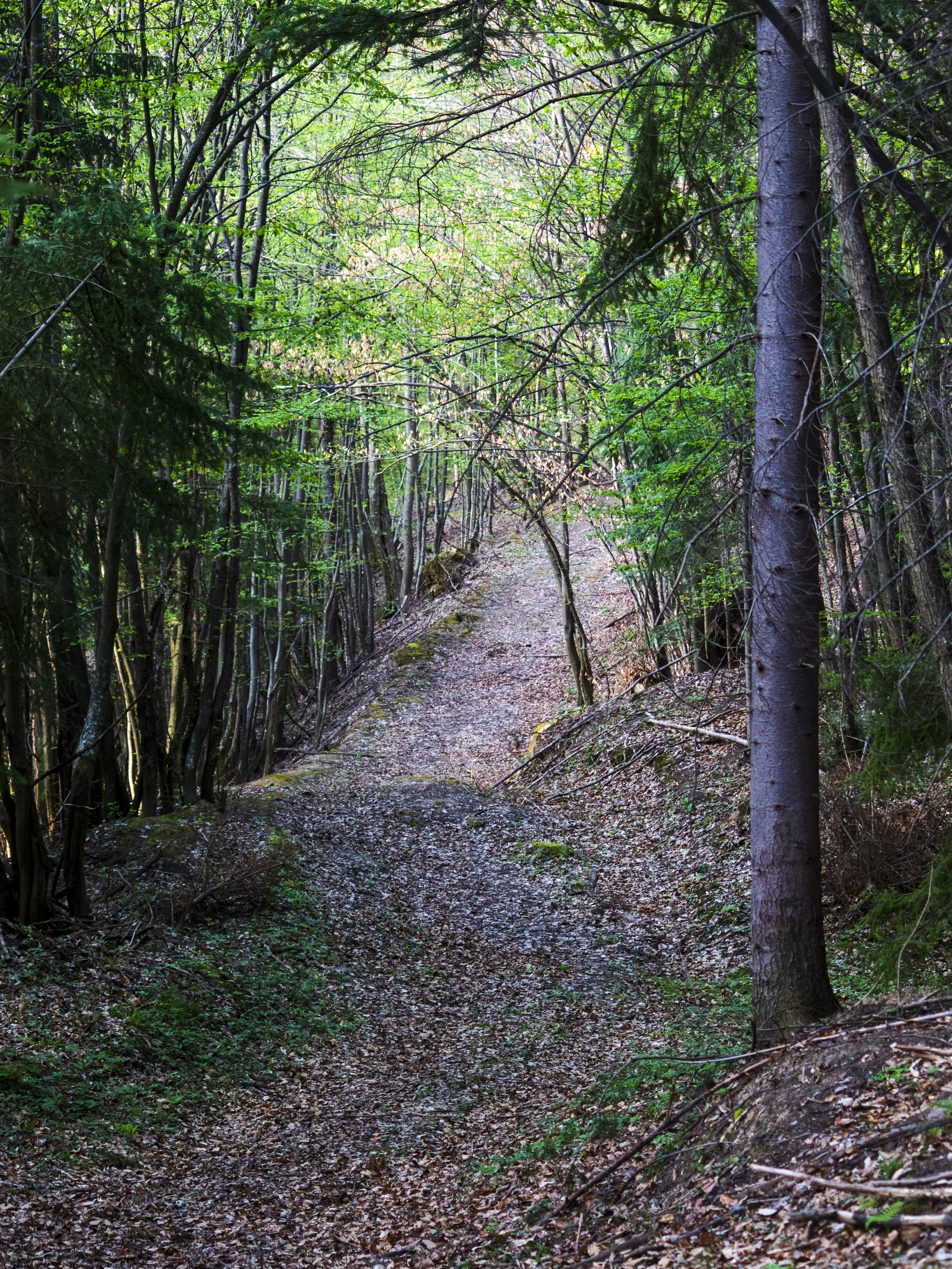 Photo by sporisevicphotography