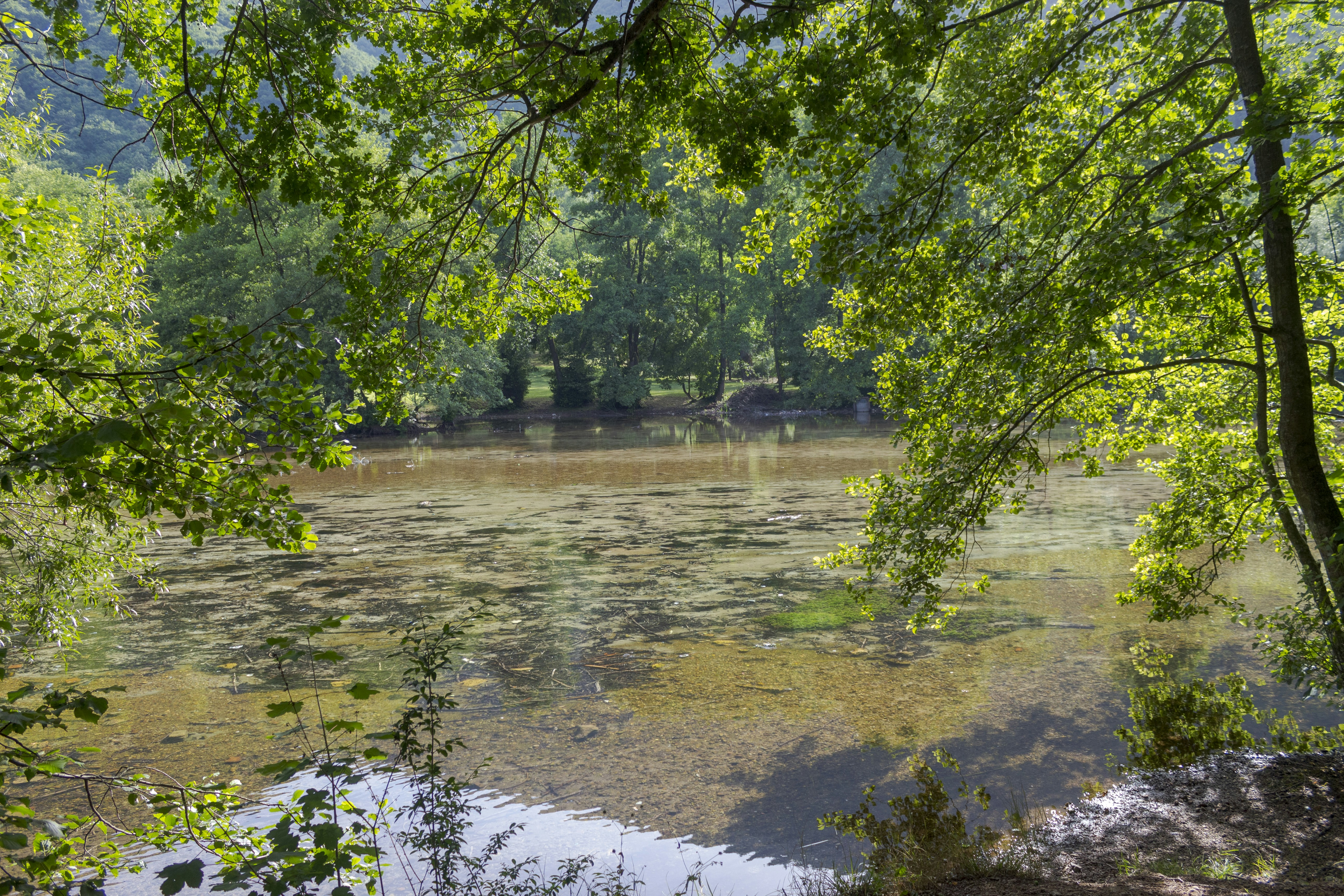 Photo by sporisevicphotography