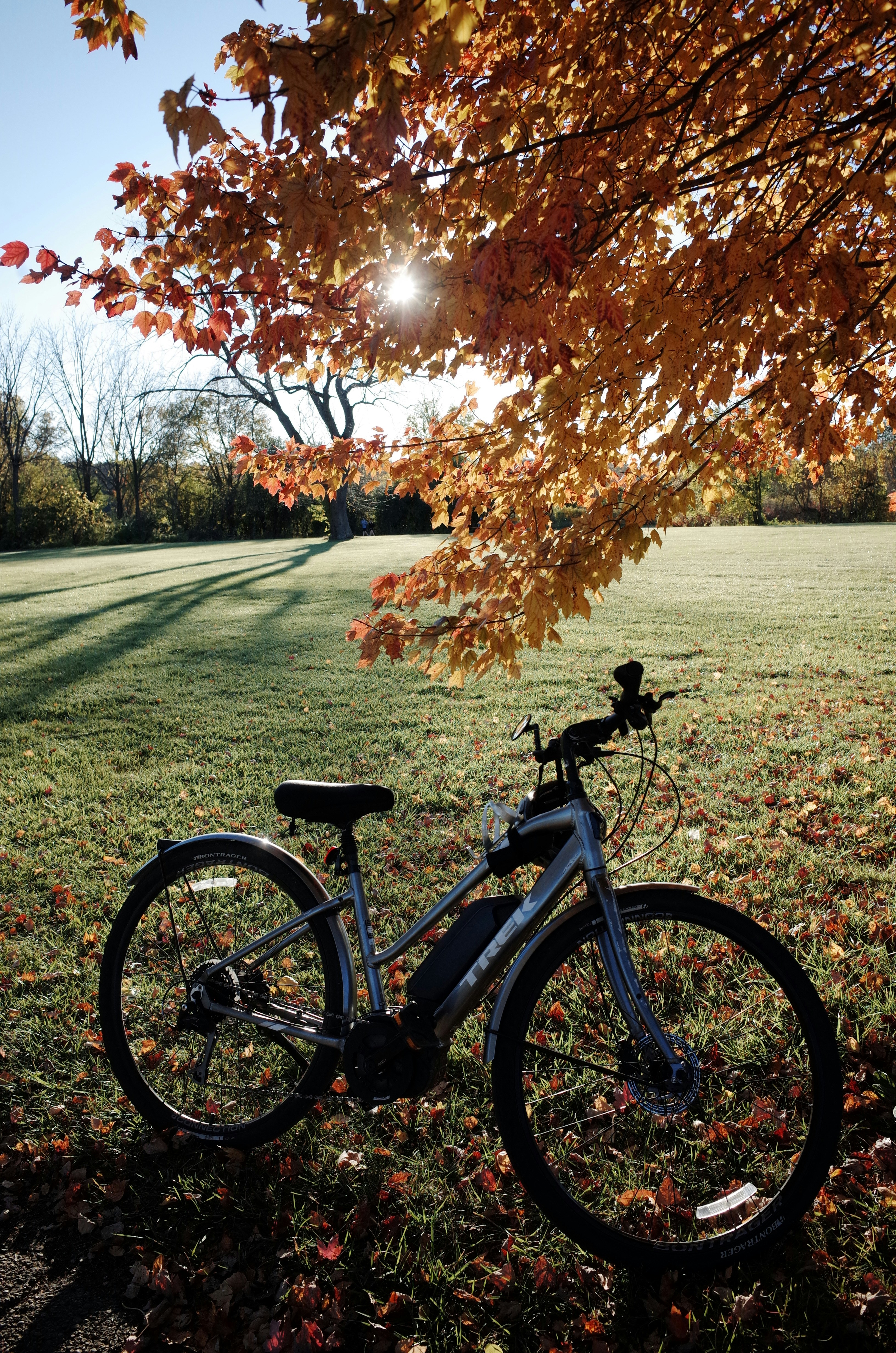 fitness transformation