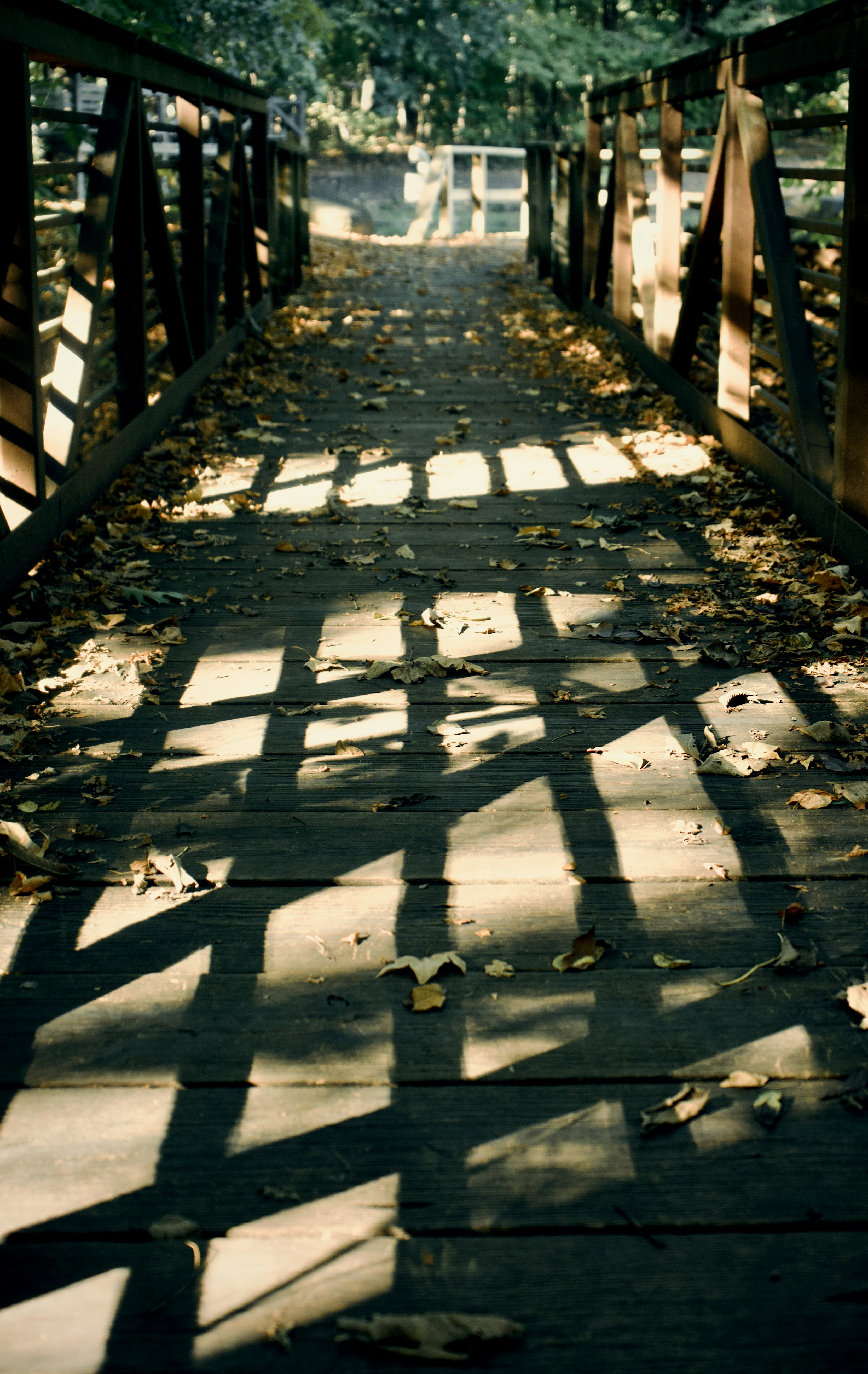 Wooden bridge with autumn leaves and shadows