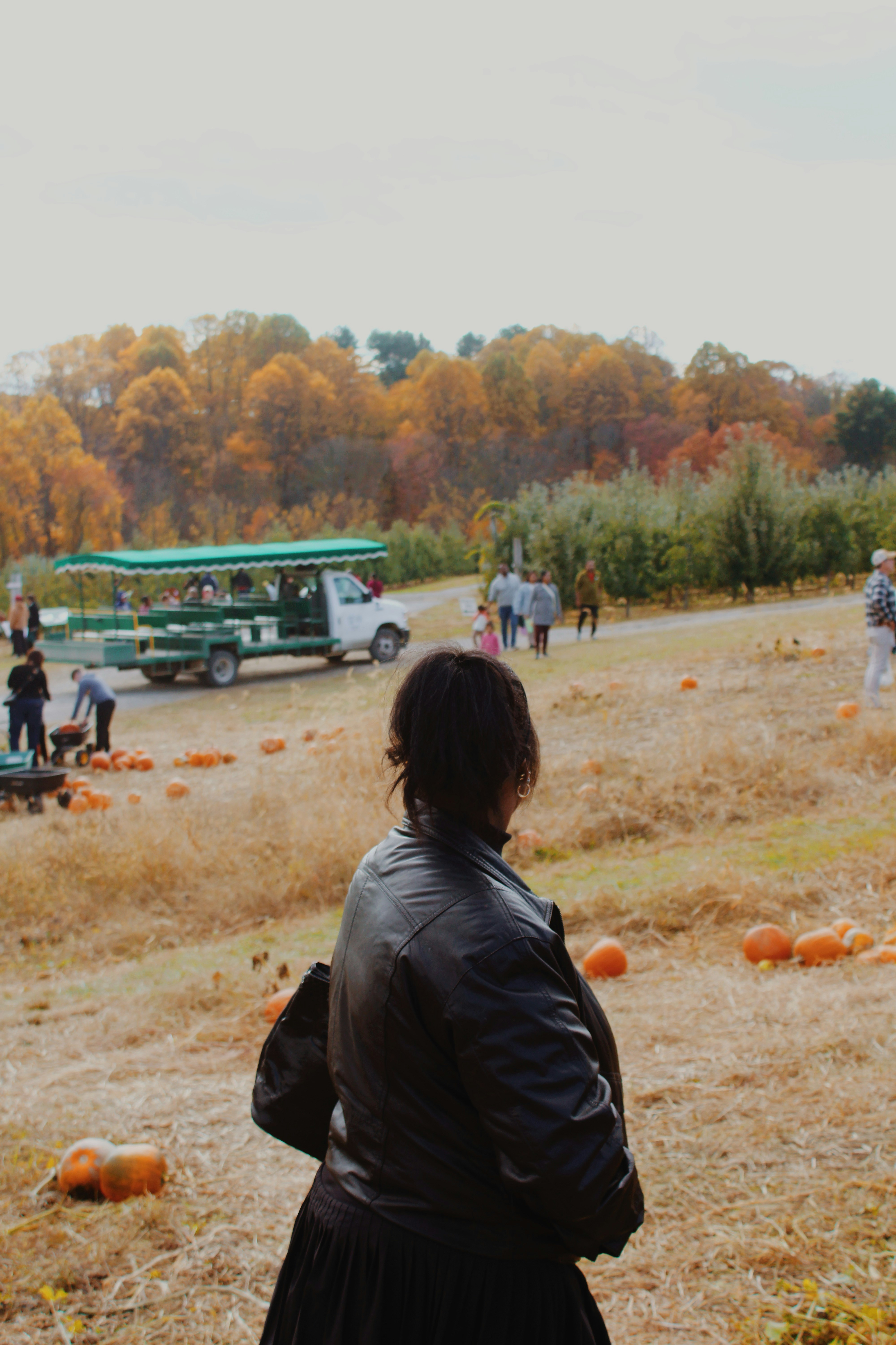 Woman in foreground at pumpkin patch with autumn trees