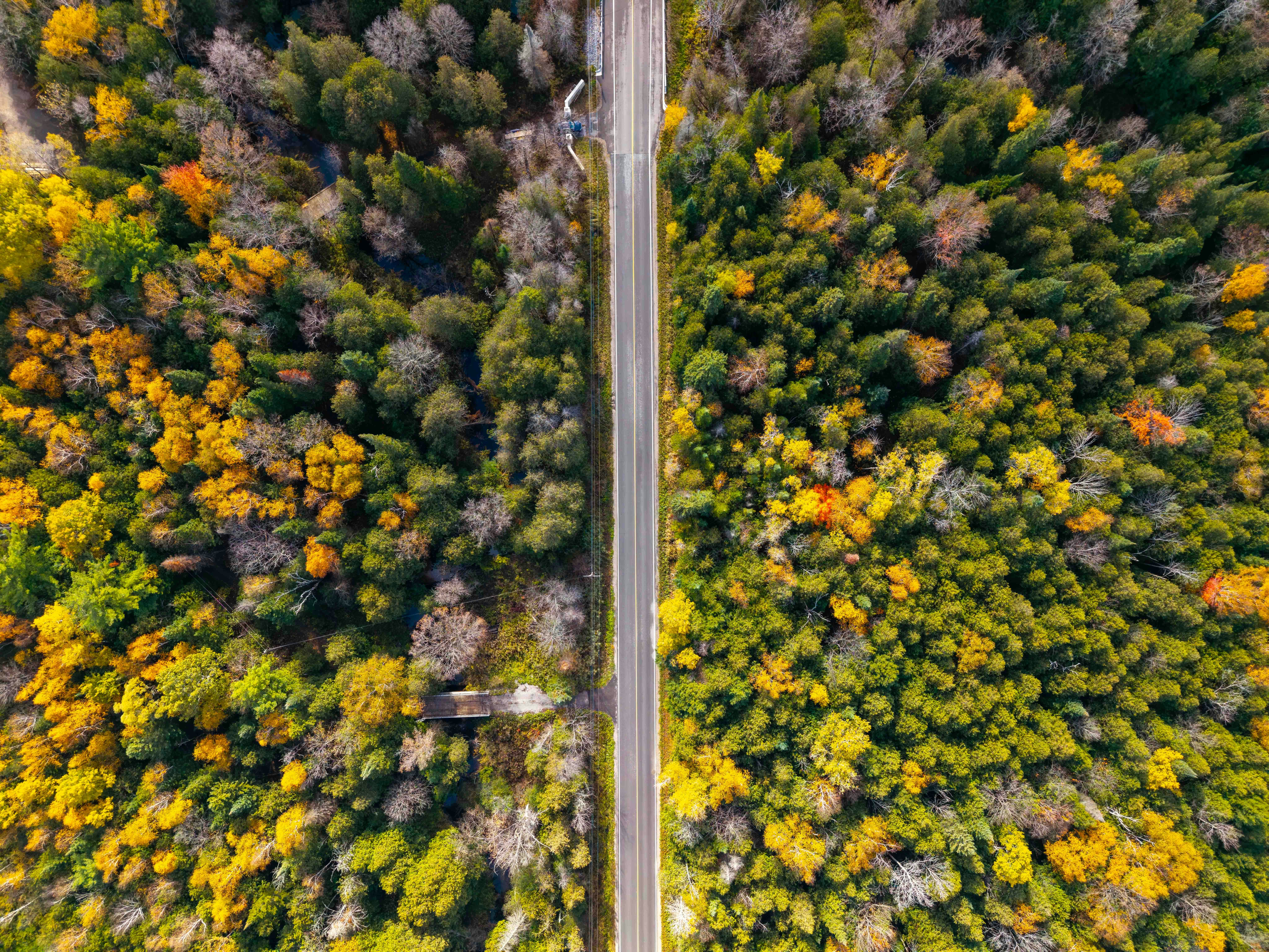 Photo by francotheshooter