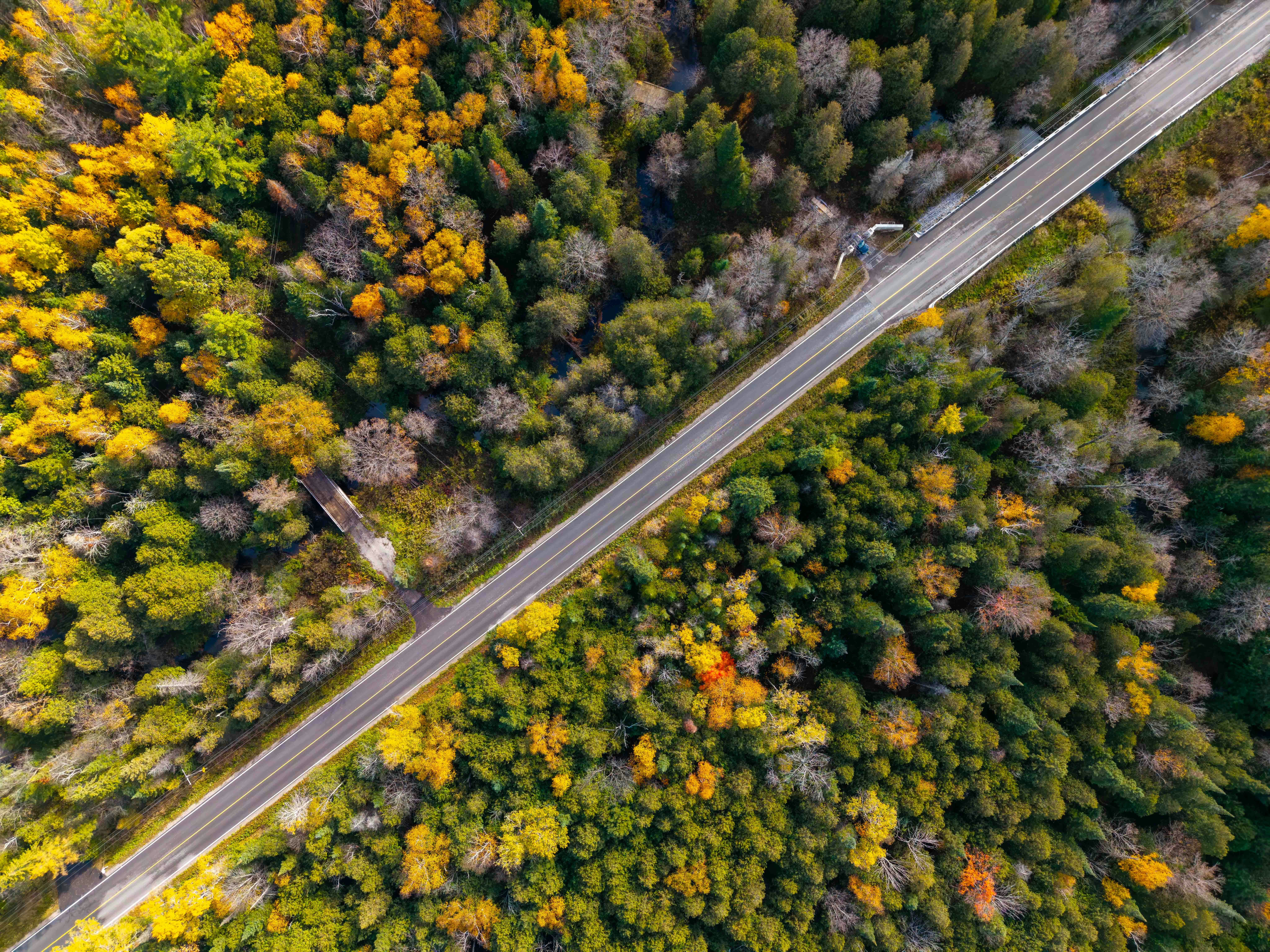 Photo by francotheshooter