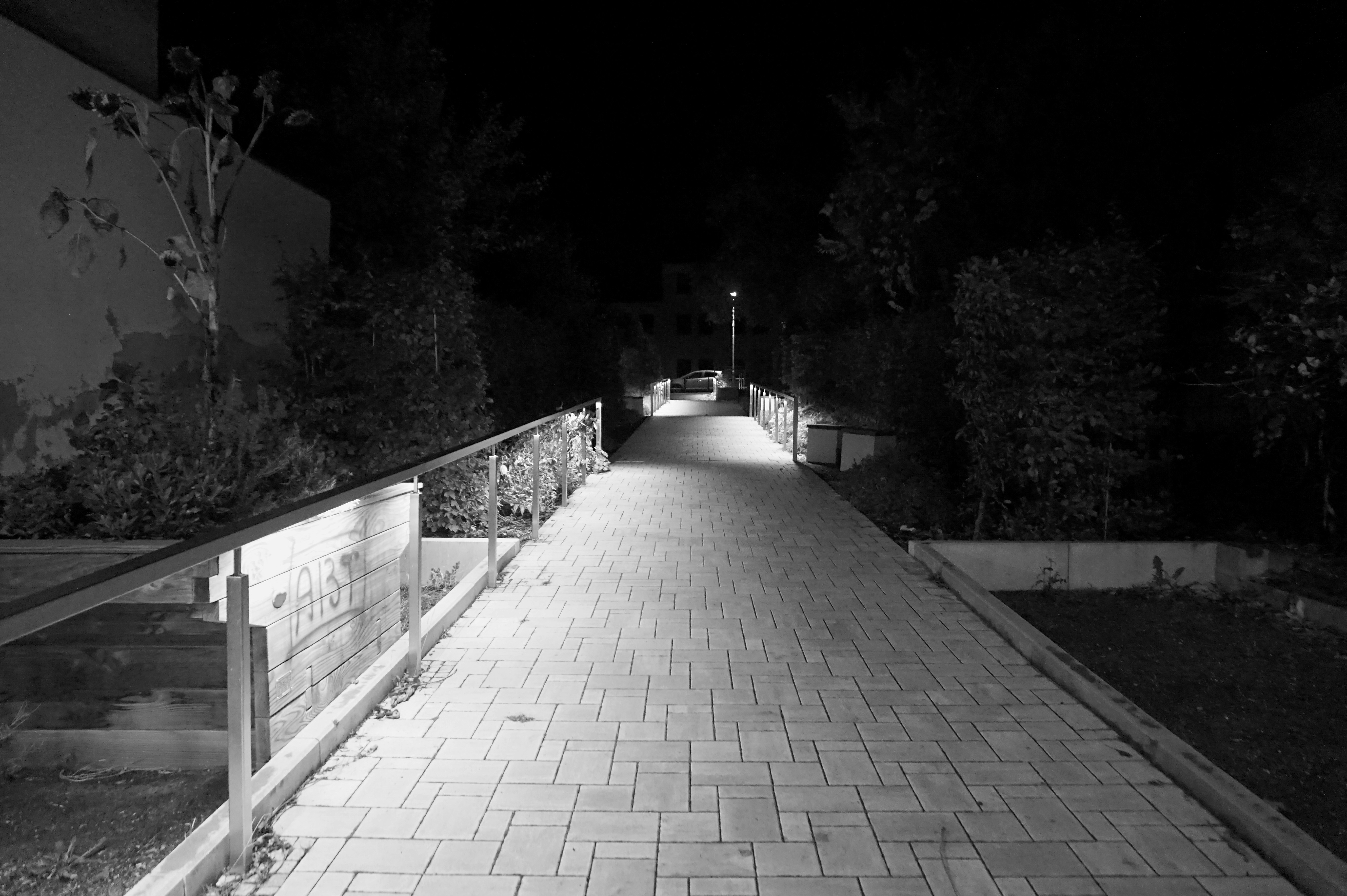 Photo by nikodemus777