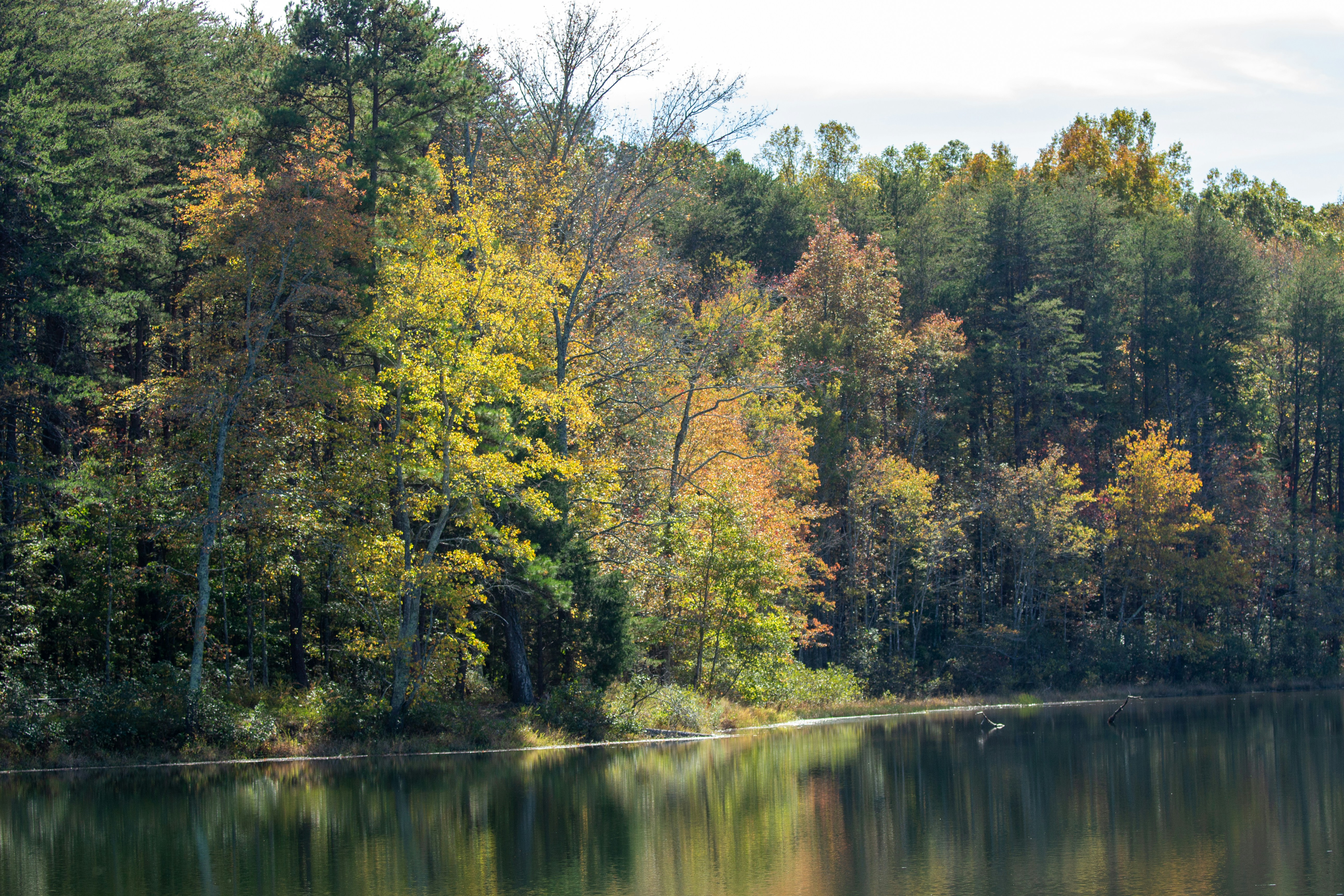 Photo by frontspace101