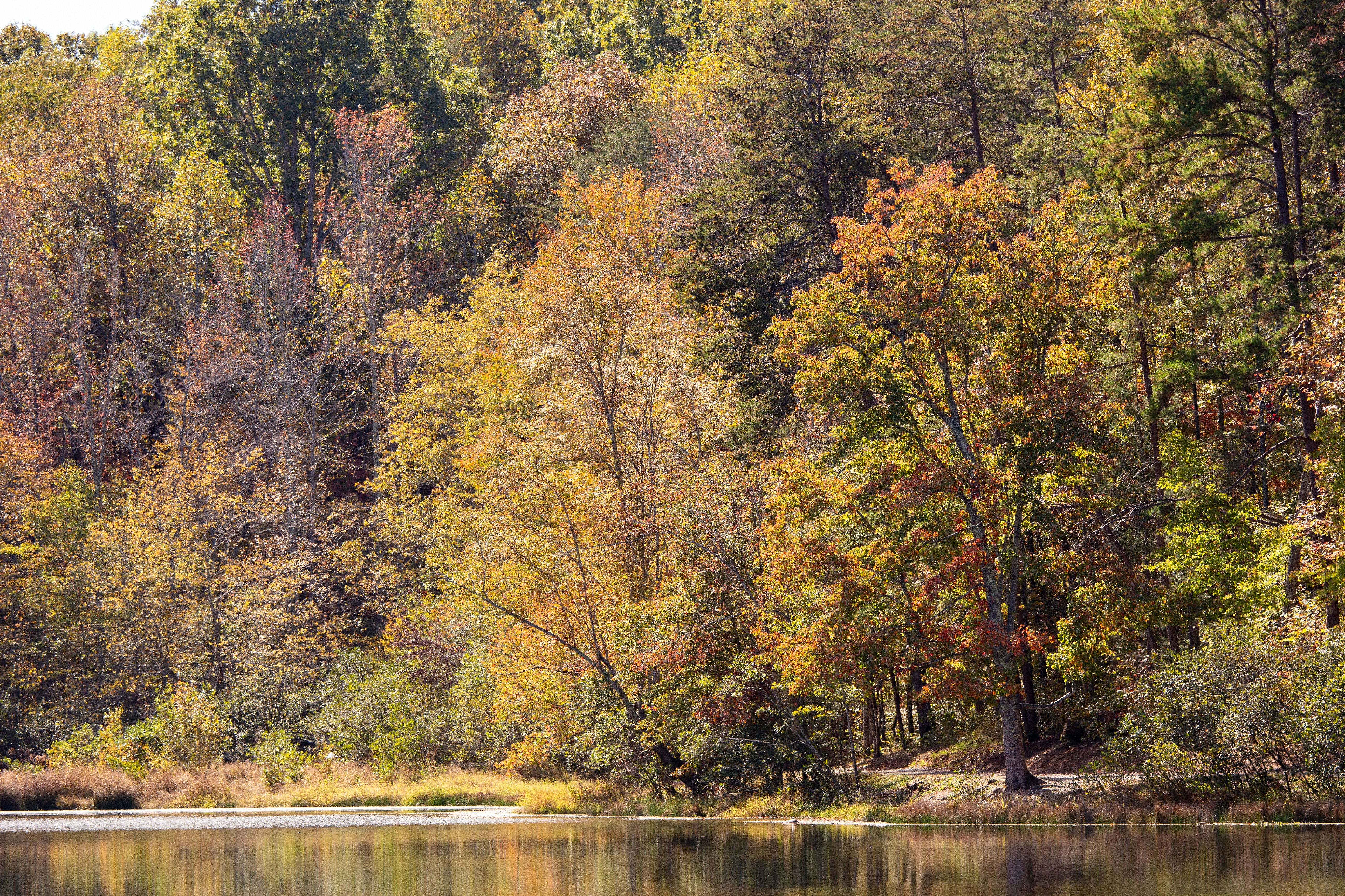 Photo by frontspace101