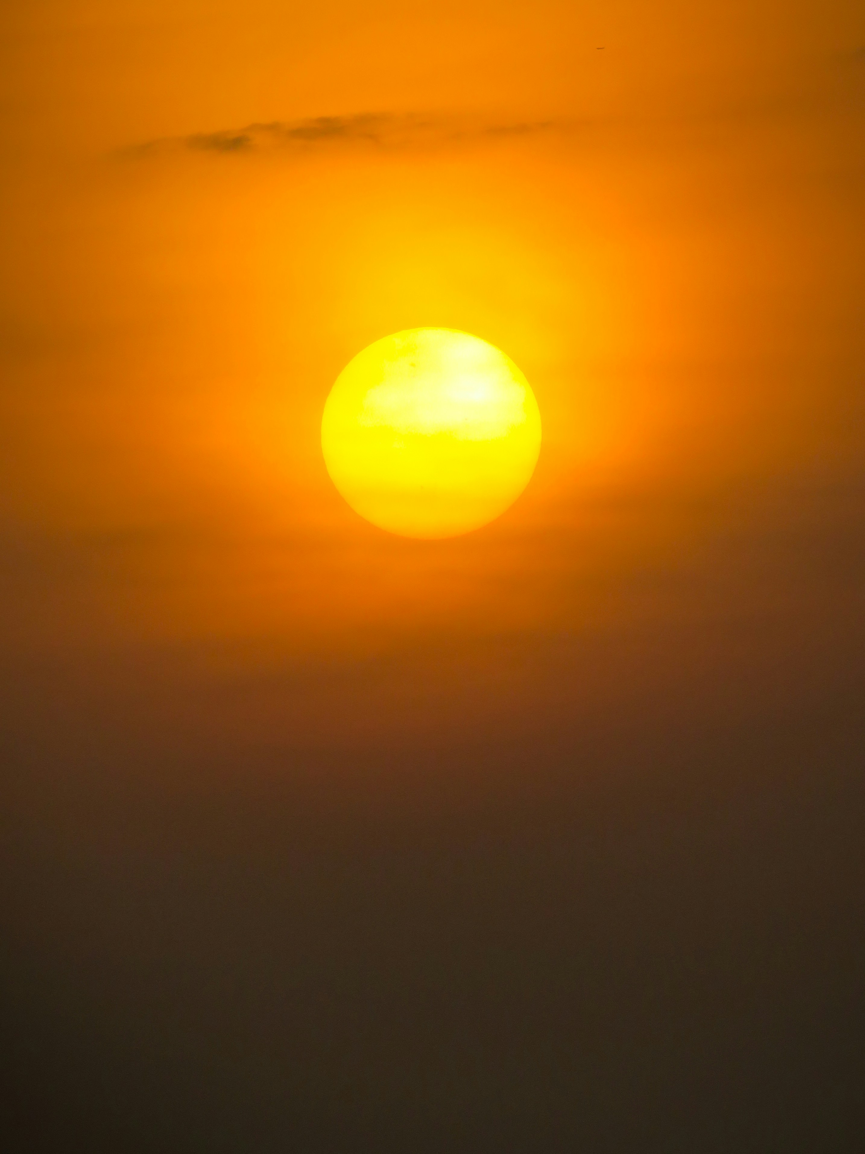 Photo by dreamora96x