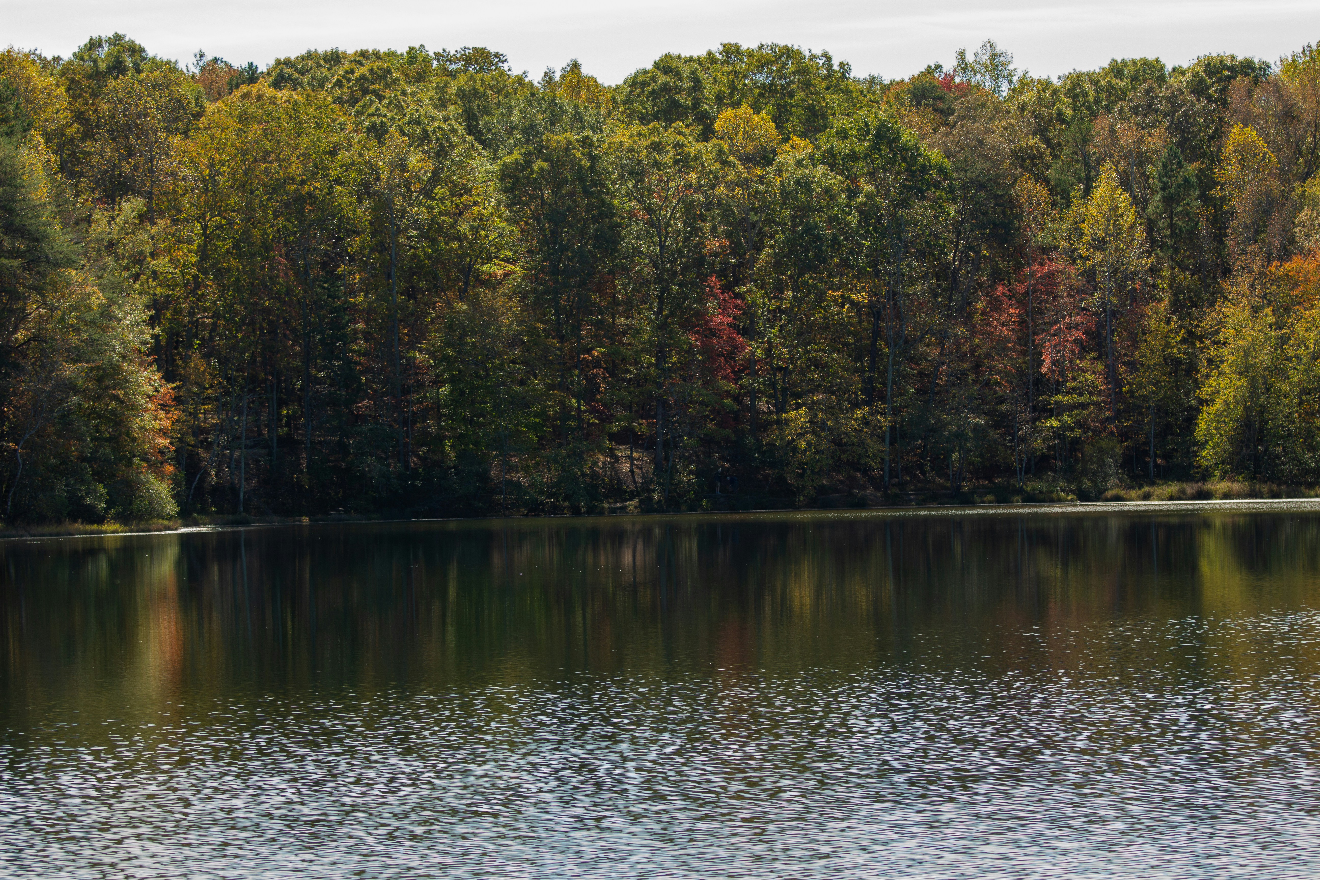 Photo by frontspace101