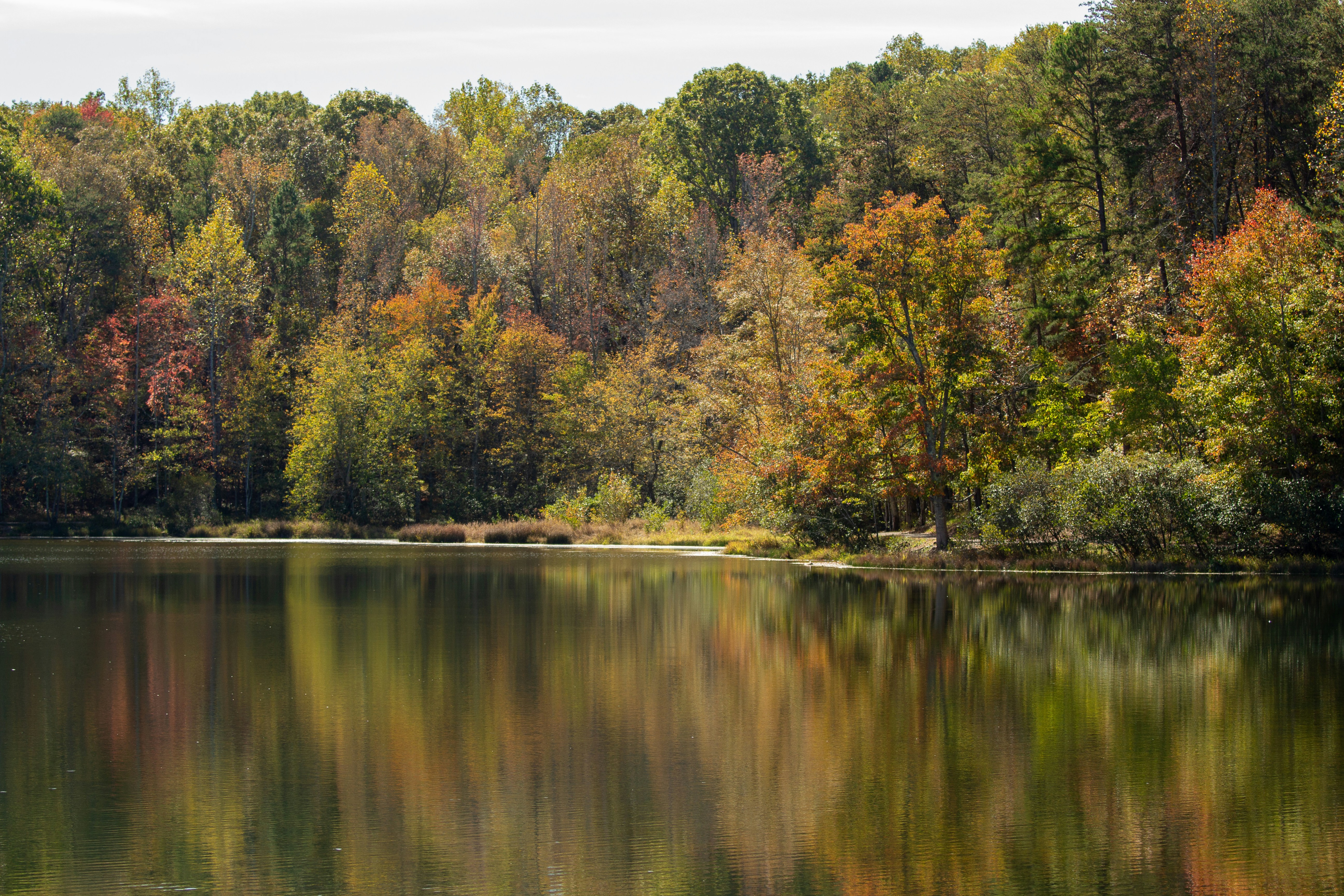 Photo by frontspace101