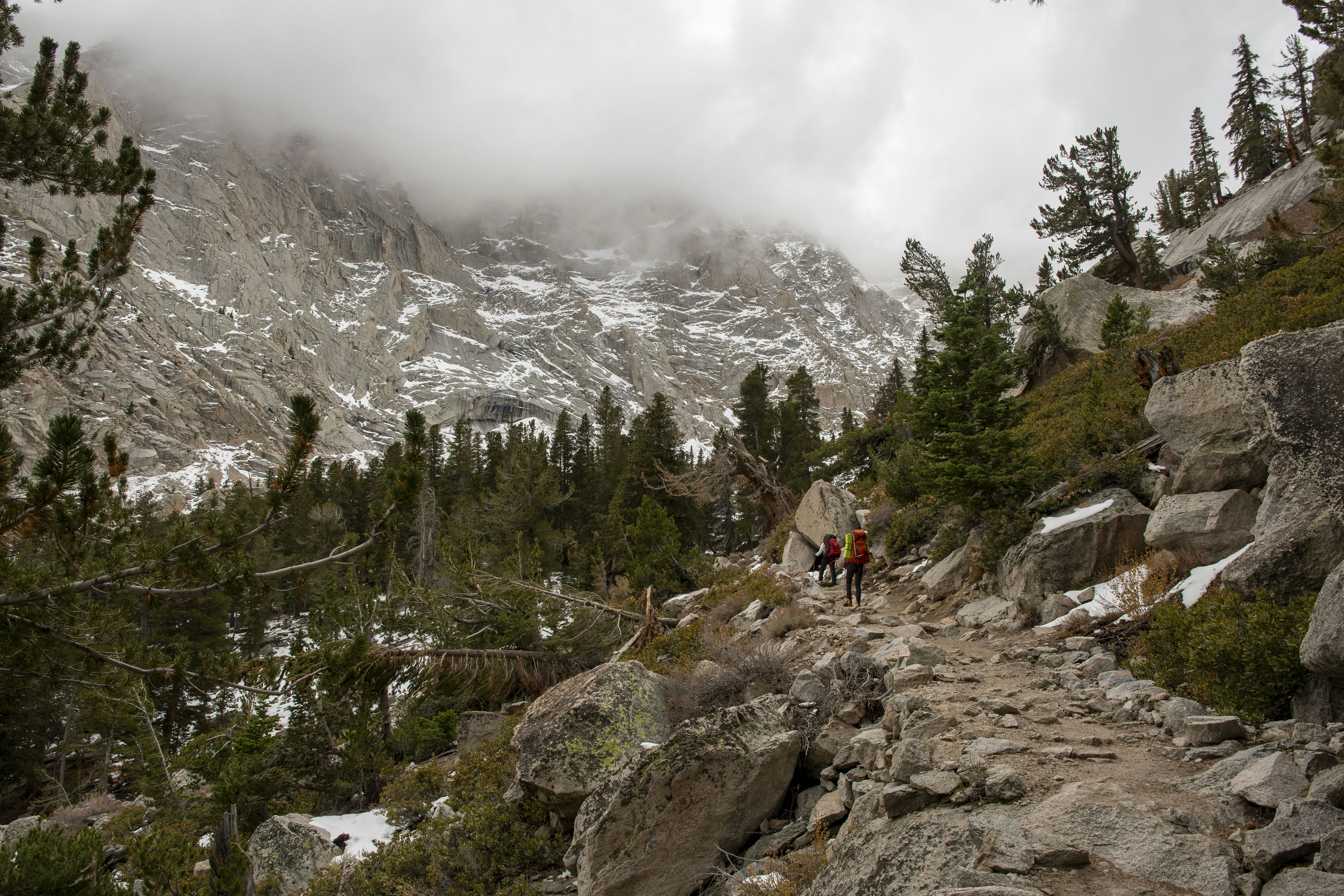 Hikers on a rocky mountain trail with pine trees.