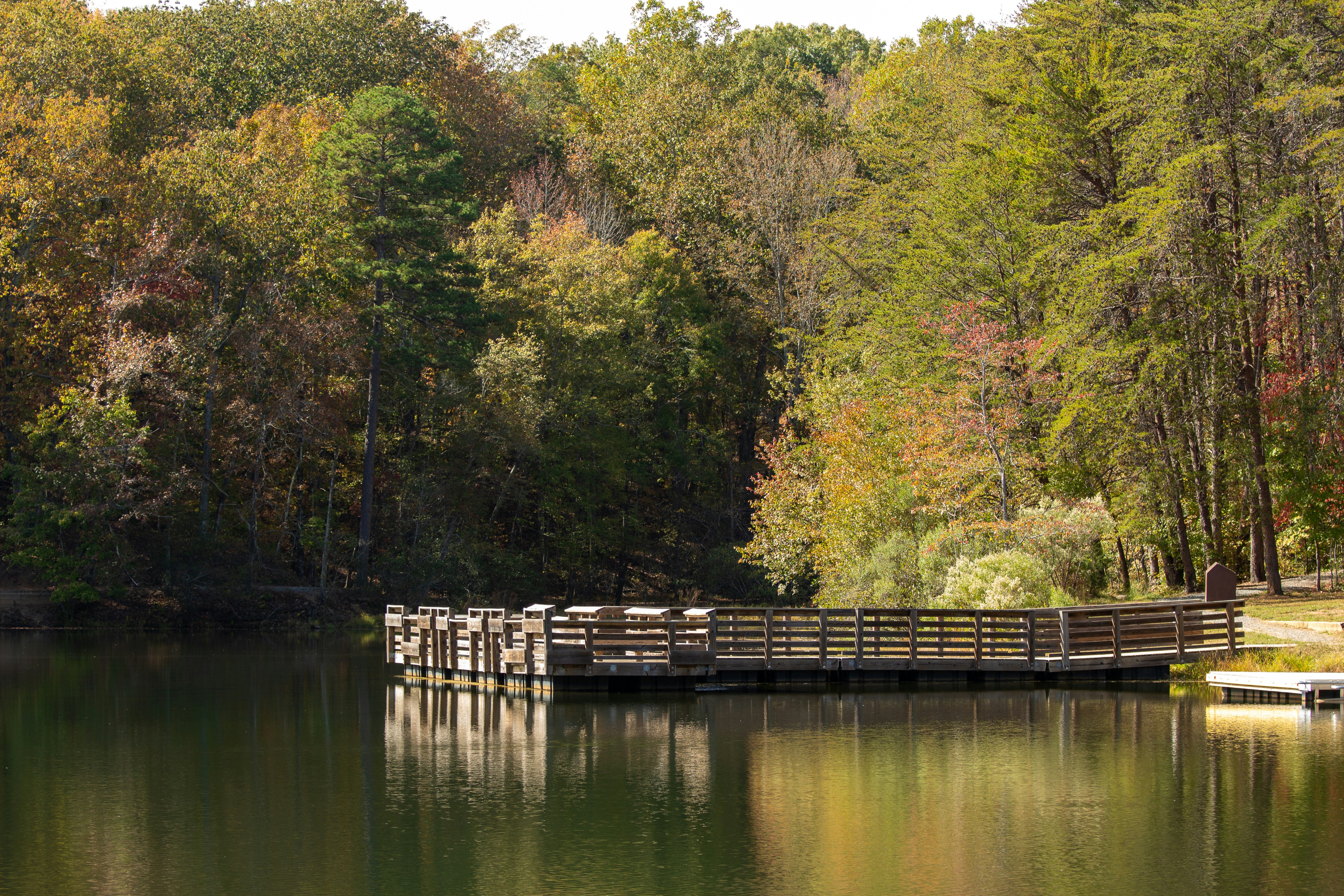 Wooden pier on a calm lake surrounded by autumn trees