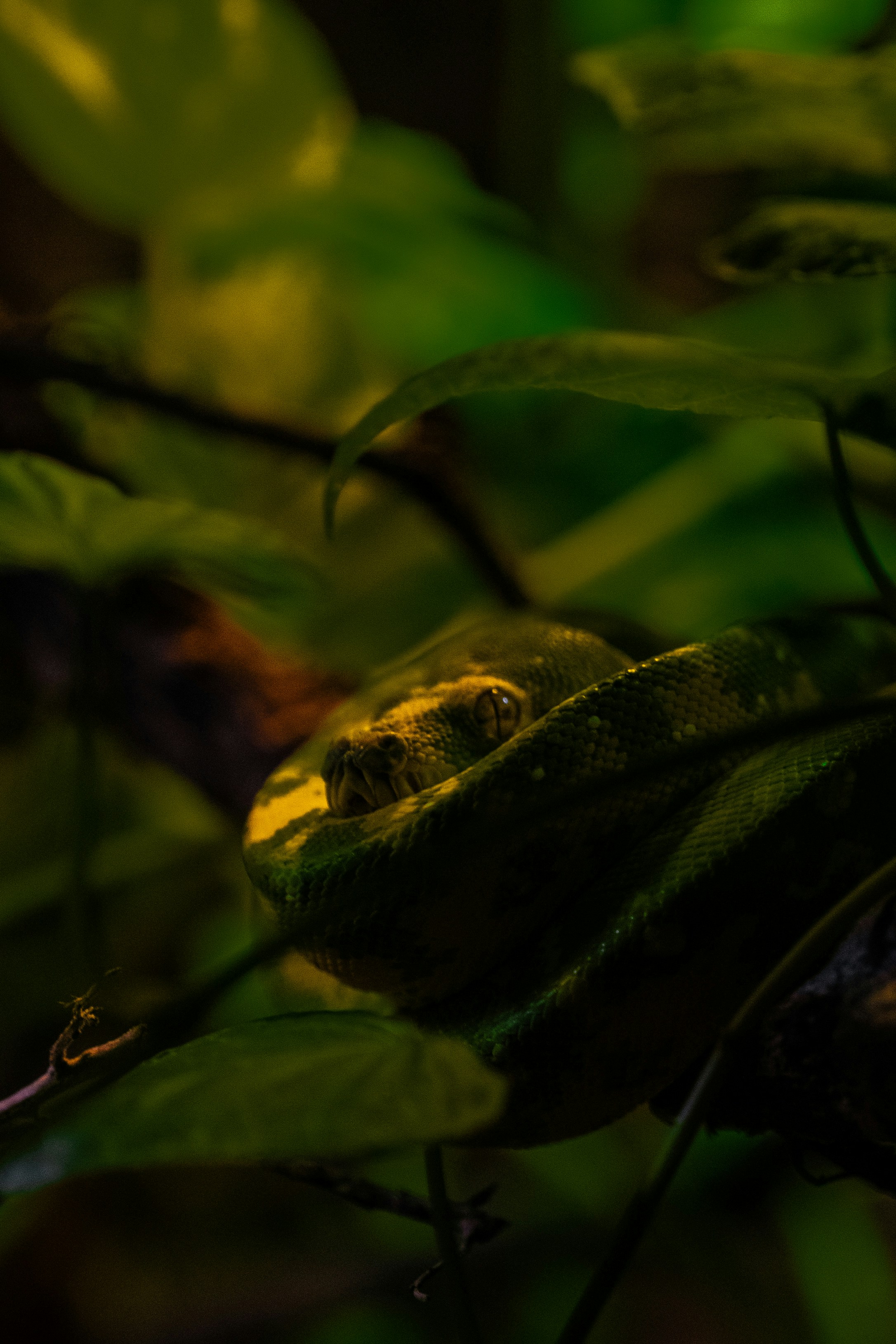 Photo by luanfonsecavisuals