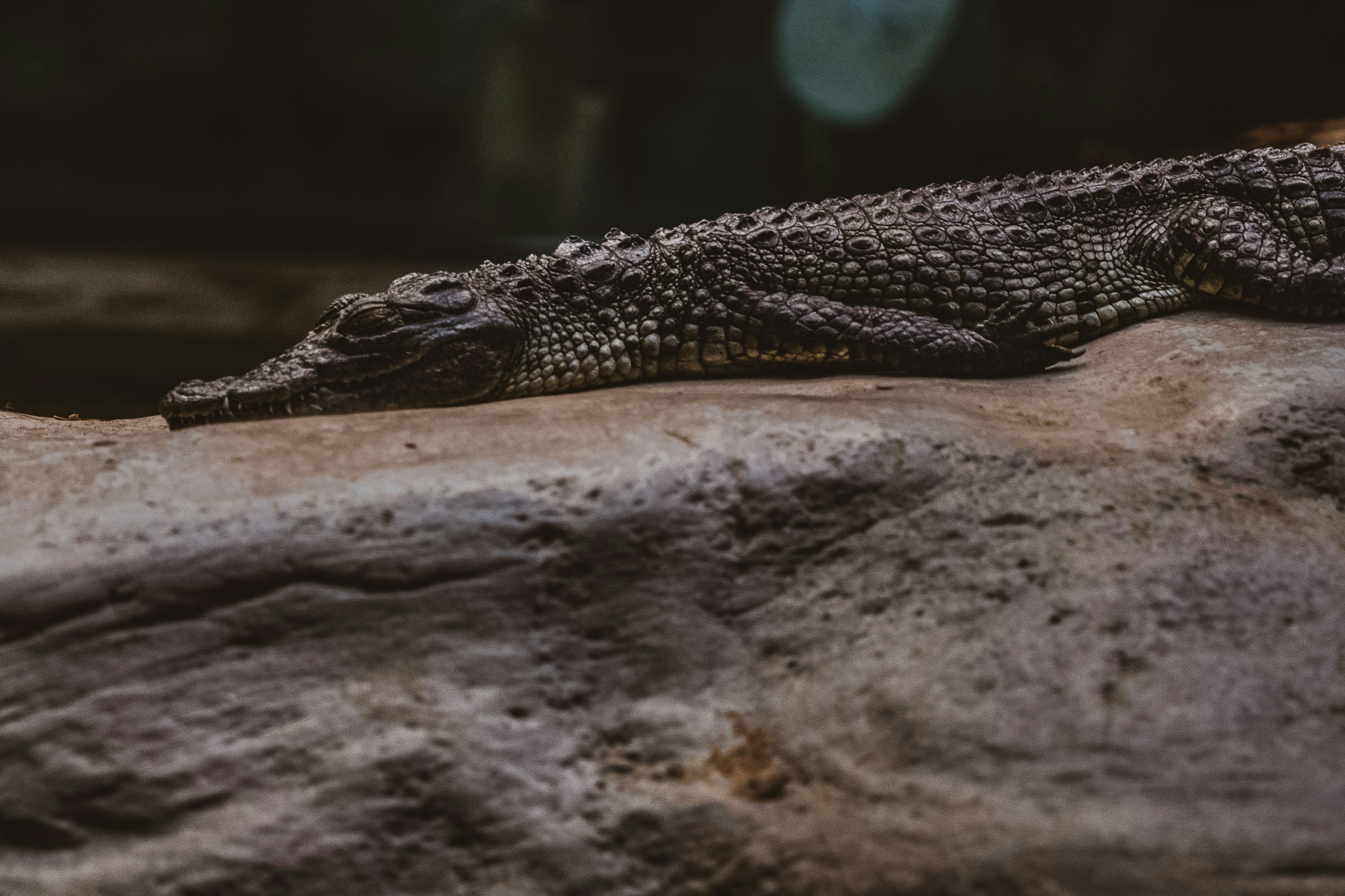 Photo by luanfonsecavisuals