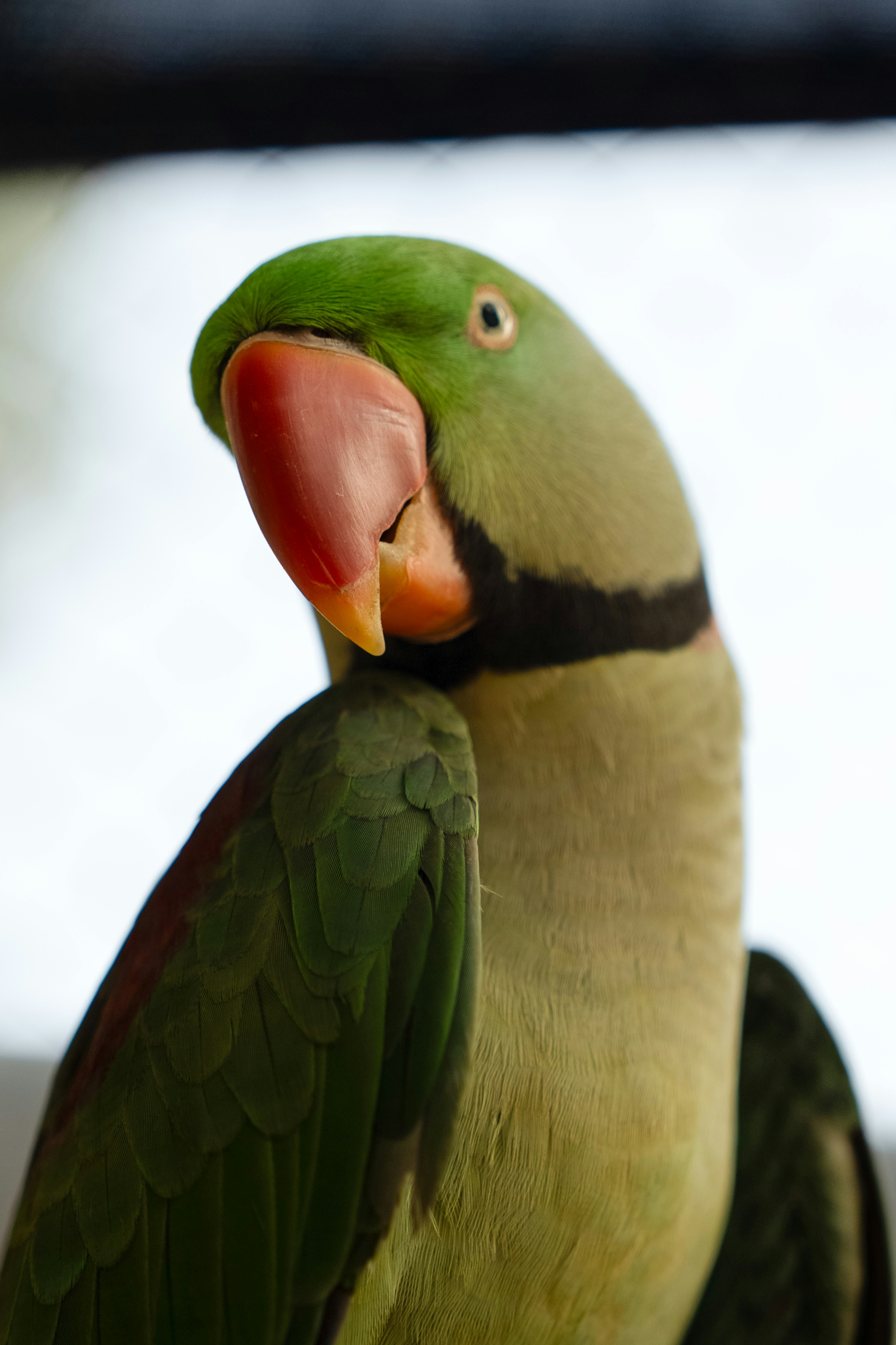 Photo by luanfonsecavisuals