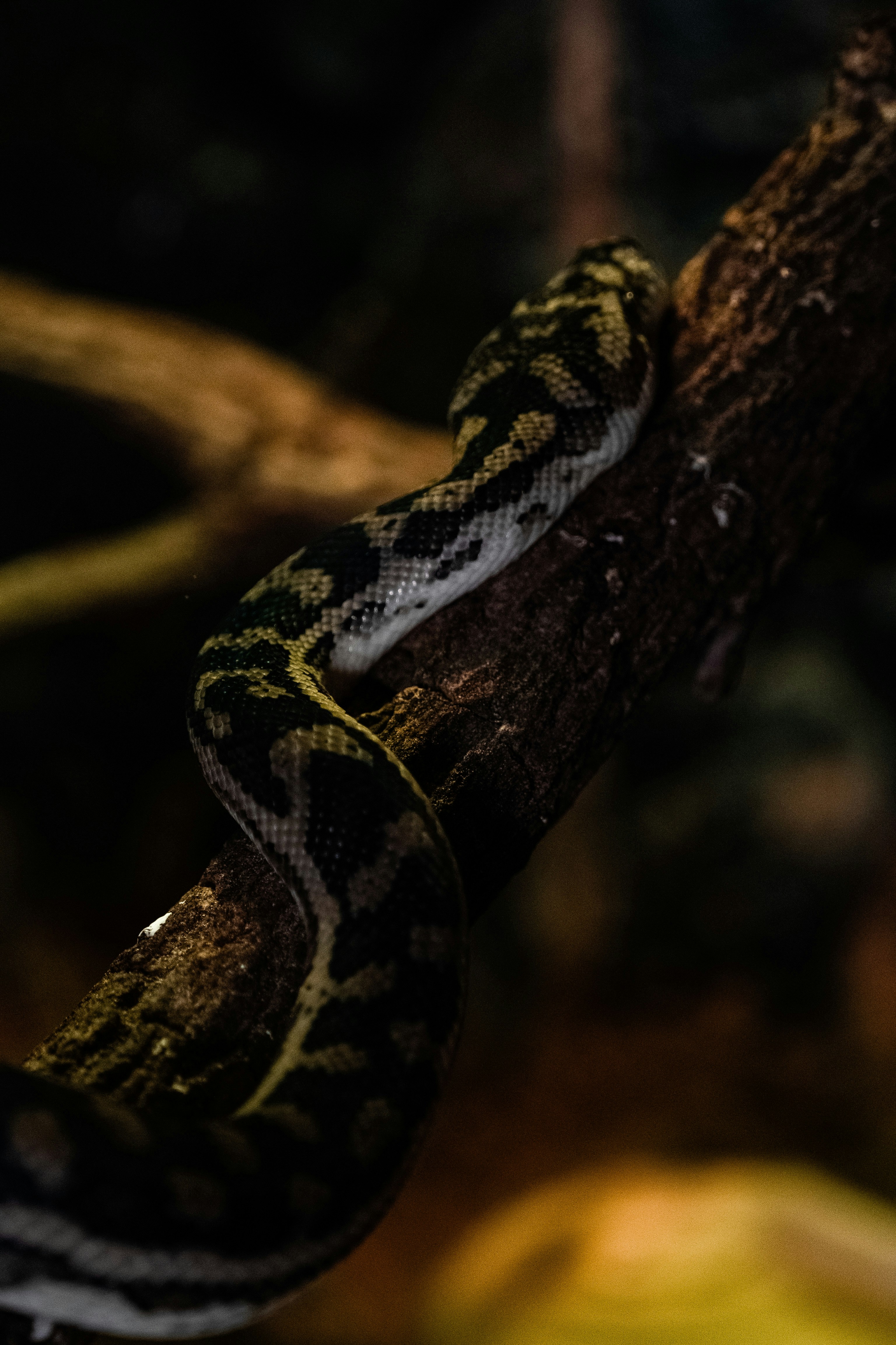 Photo by luanfonsecavisuals