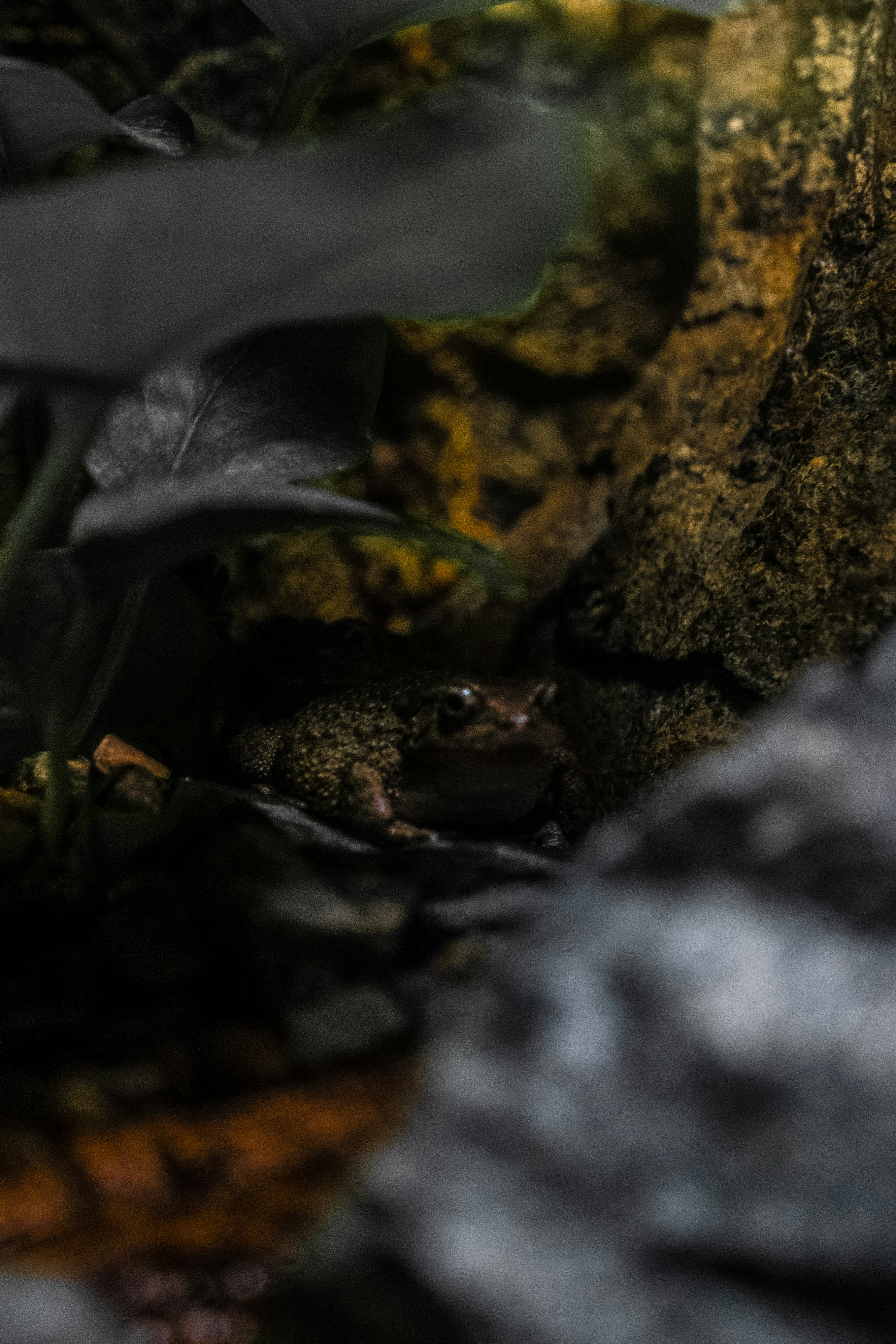 Photo by luanfonsecavisuals